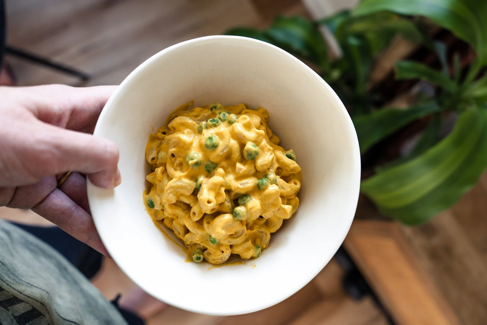 blender mac &amp; cheese (with cottage cheese!)