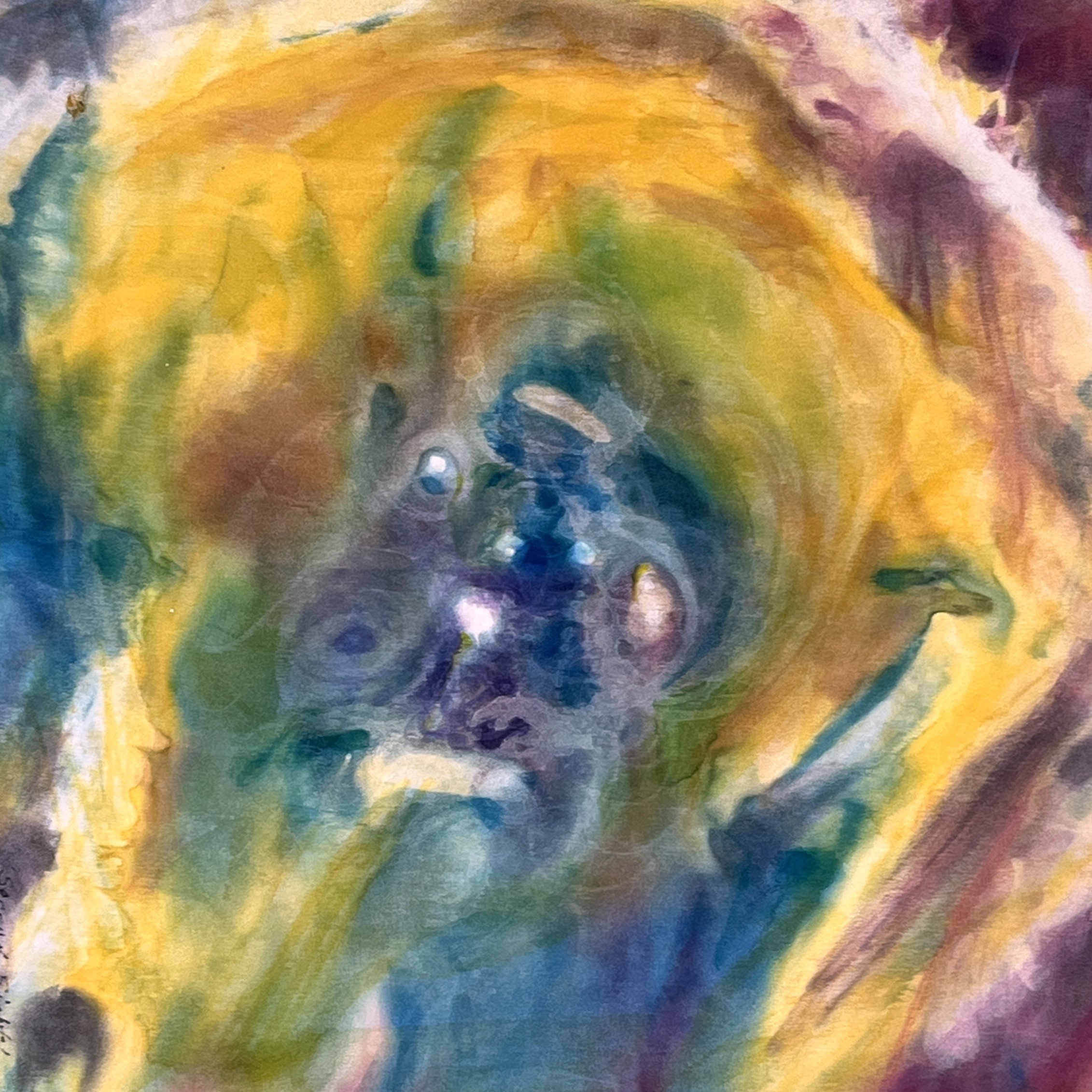 What does intuition and premonitions look like?