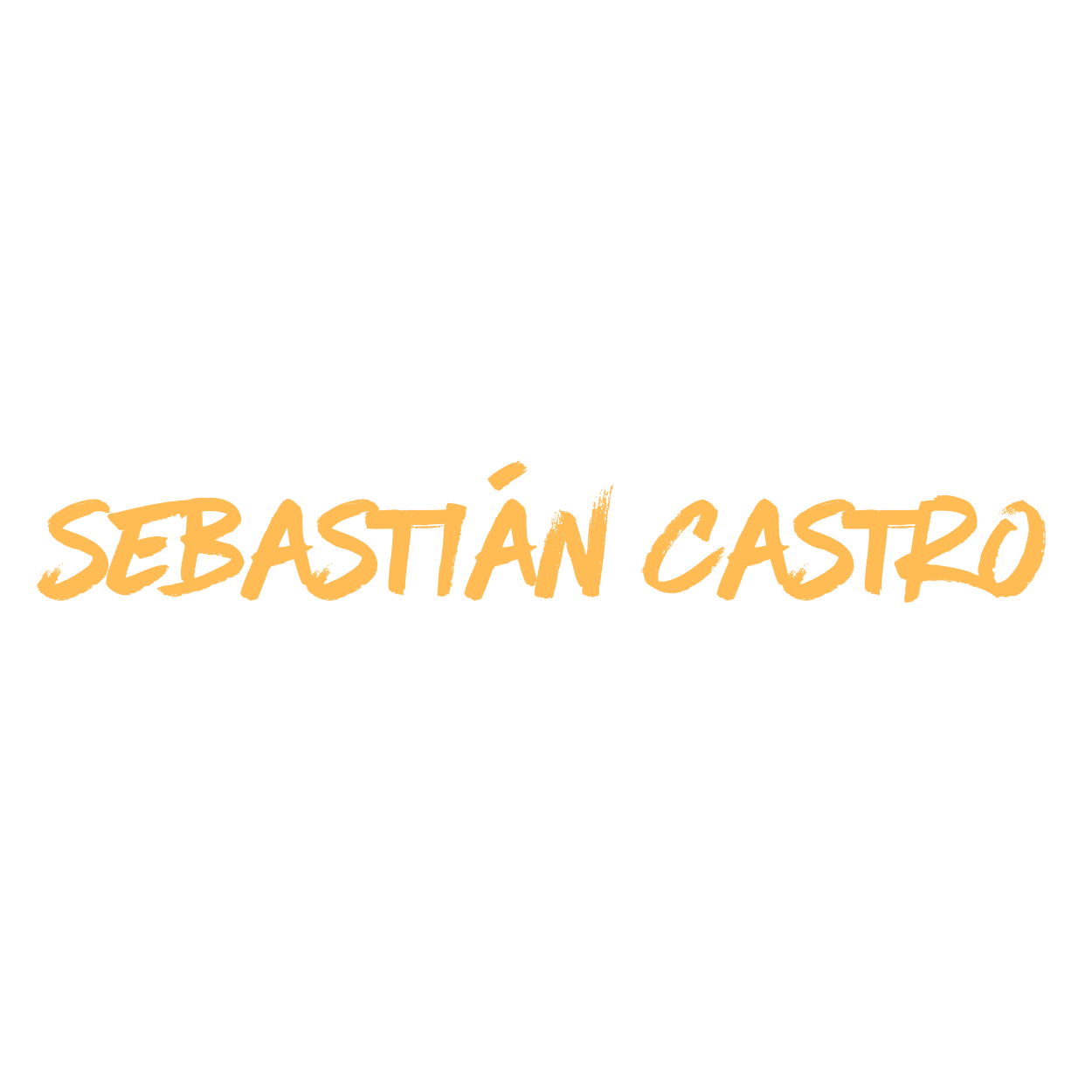 Sebastián Castro | Arte Ambiental