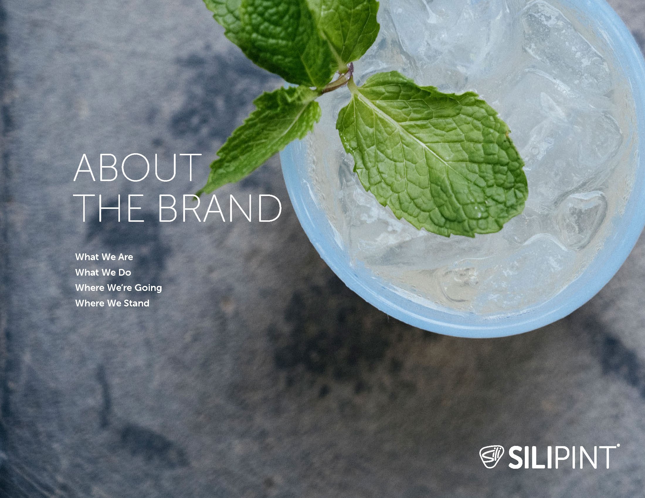 Silipint Brand Guide_Page_03.jpg