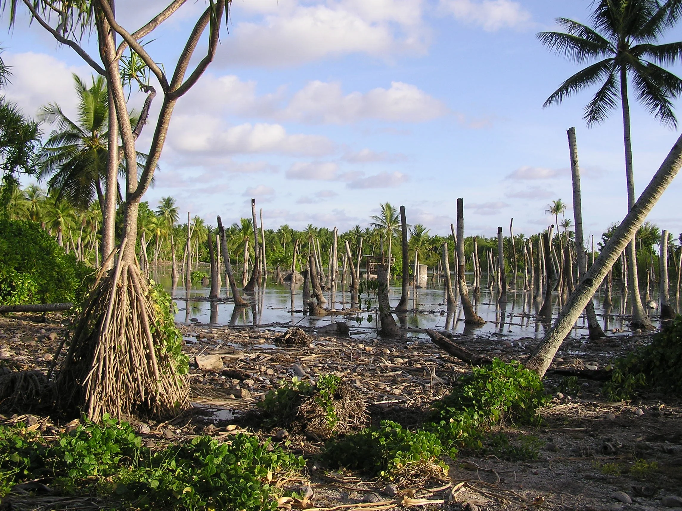 Album 10 -  2003-04 Tuvalu trip 087.jpg