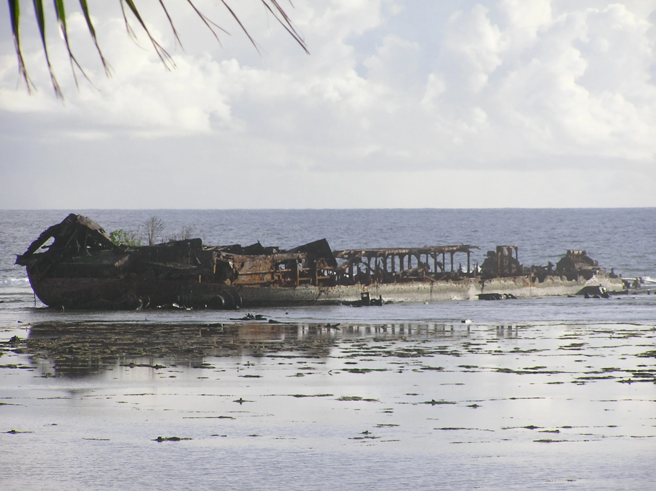 Ni ivi ailoa!  January 2004