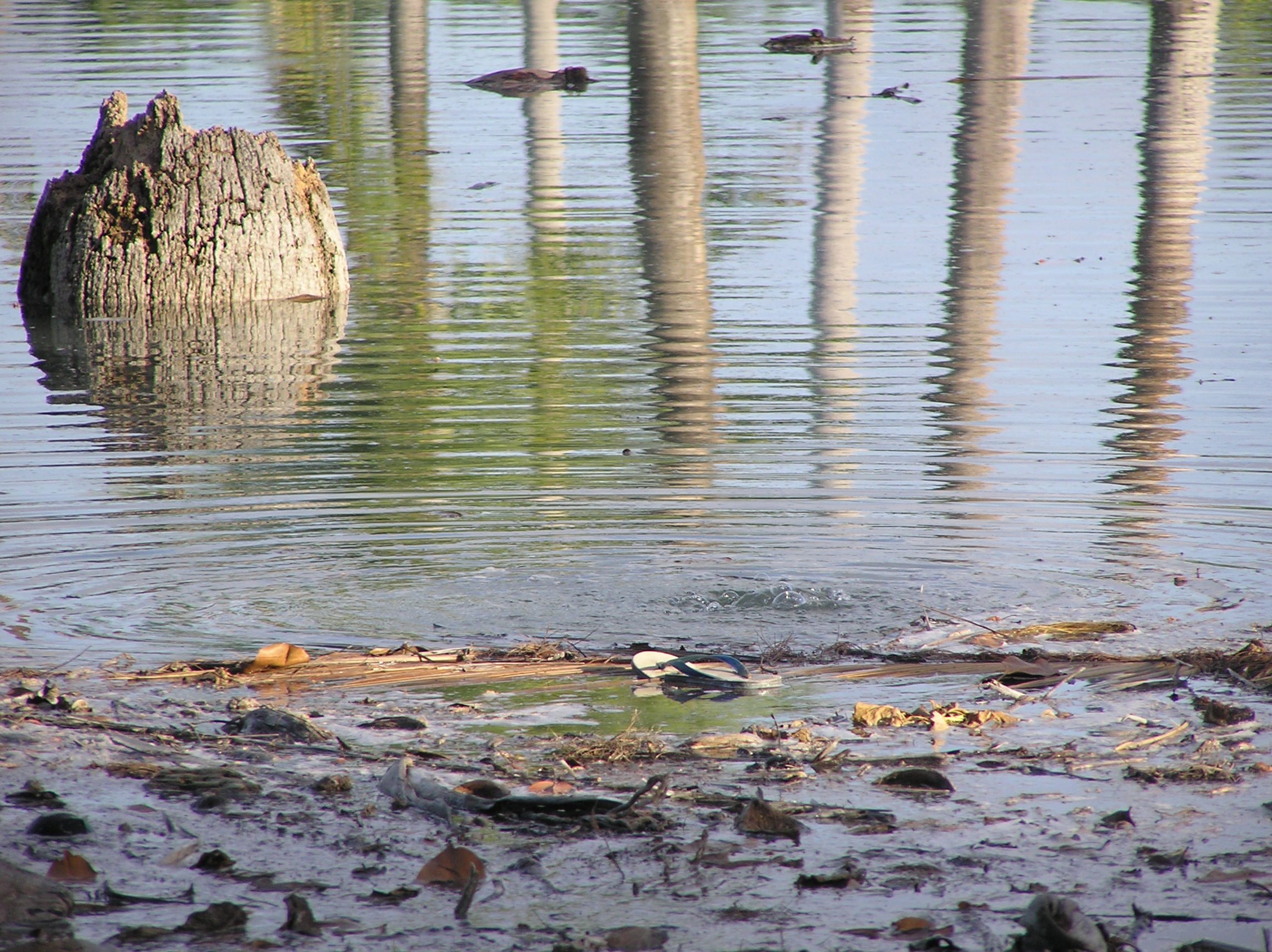 Album 10 -  2003-04 Tuvalu trip 091.jpg