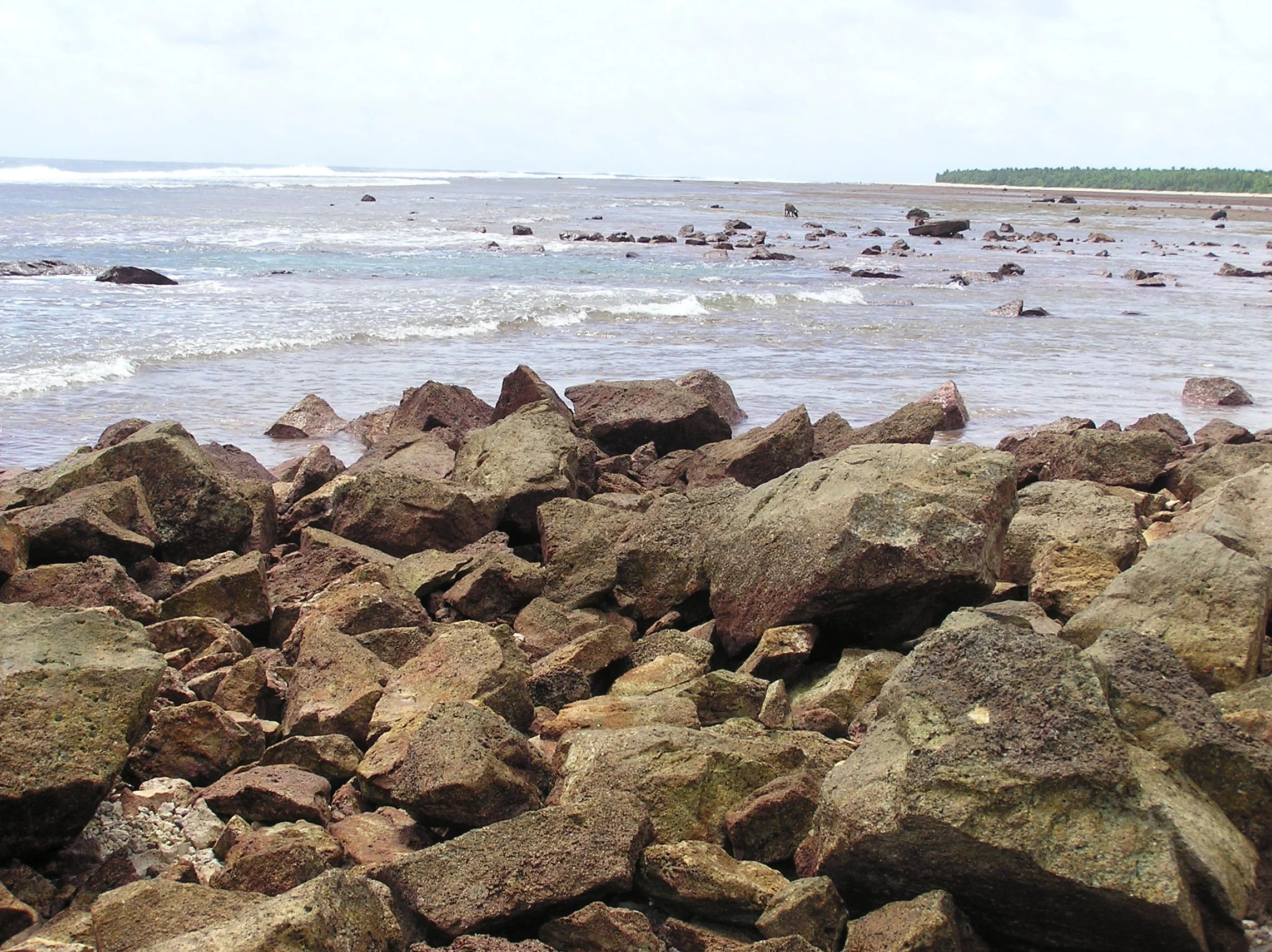 Reef, looking south to hahake