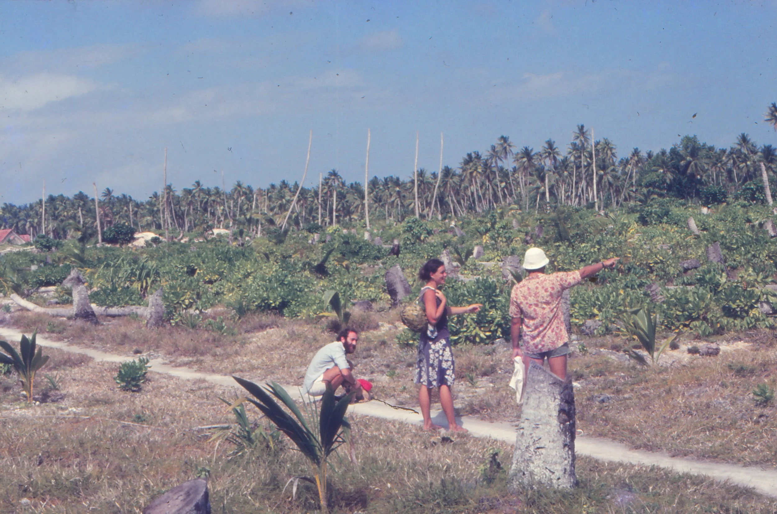 Coconut replanting scheme in Lakena - Ane, Harry Grieve, Colon Redston - January 1974