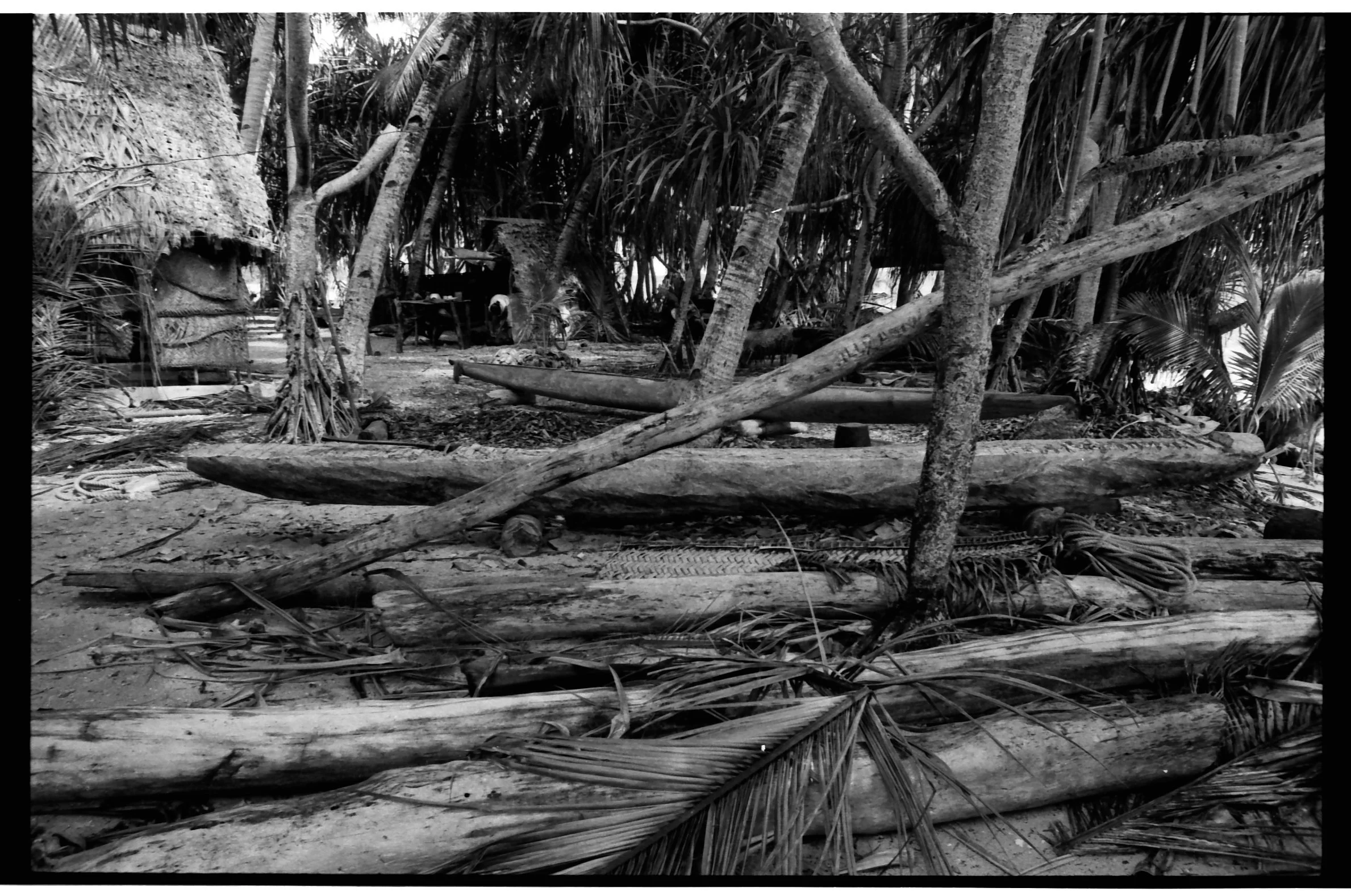 Canoes in process, Kauani's place - June 74, rl 33 no 15.jpg