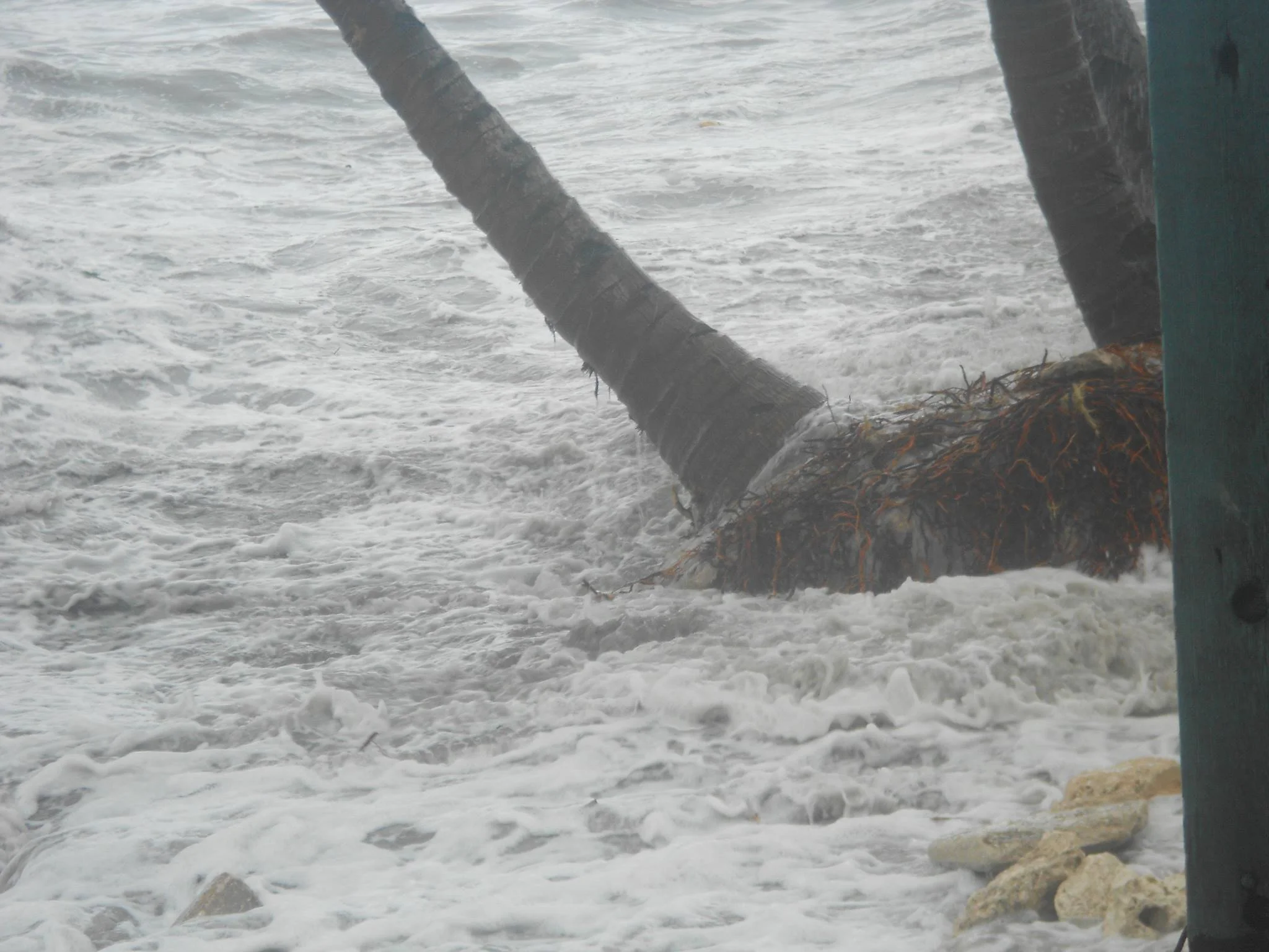 Ocean taking away shoreline