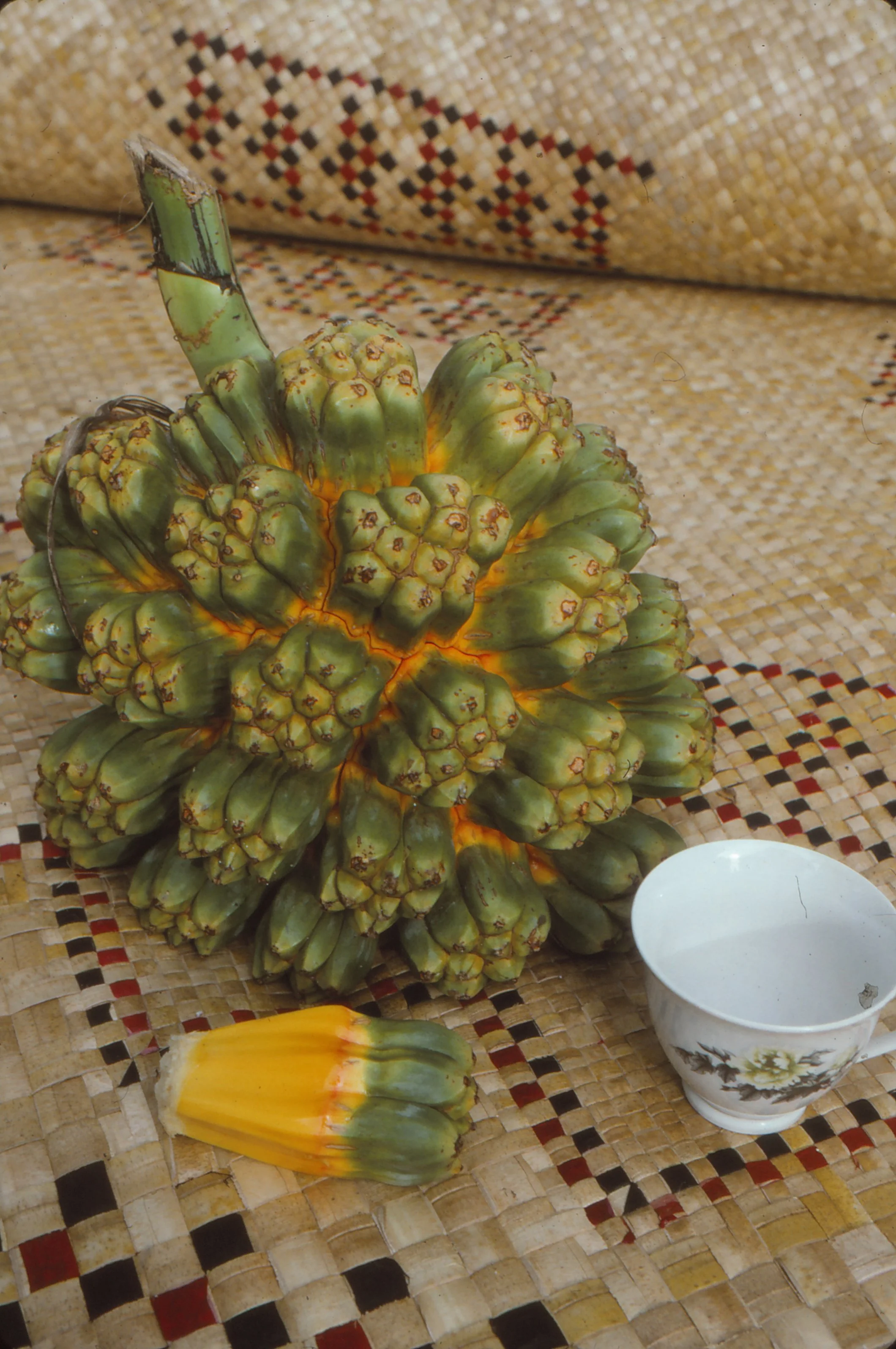 Fala tina kaleve -- malie kii!