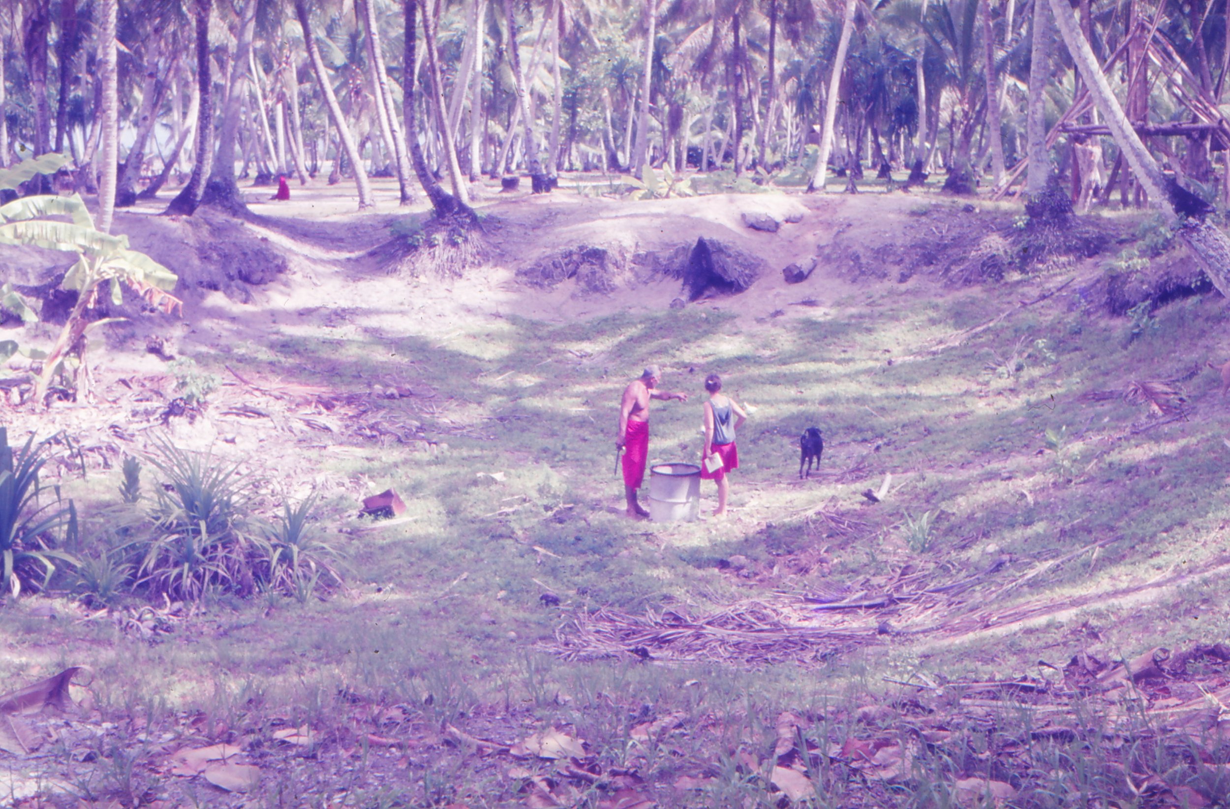 Manuao mo Ane - fakamatalaga o te Vailahi