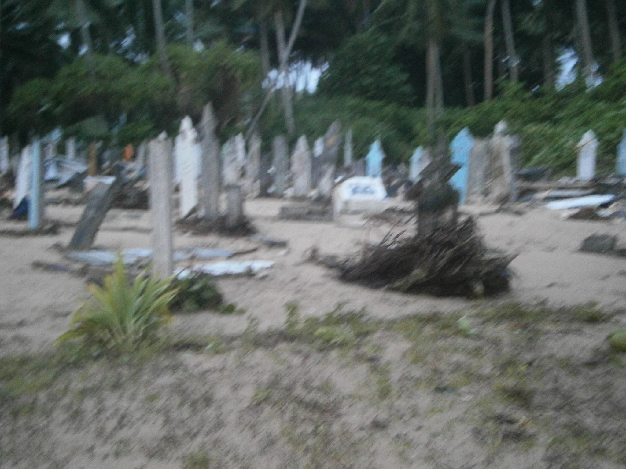 Main cemetery