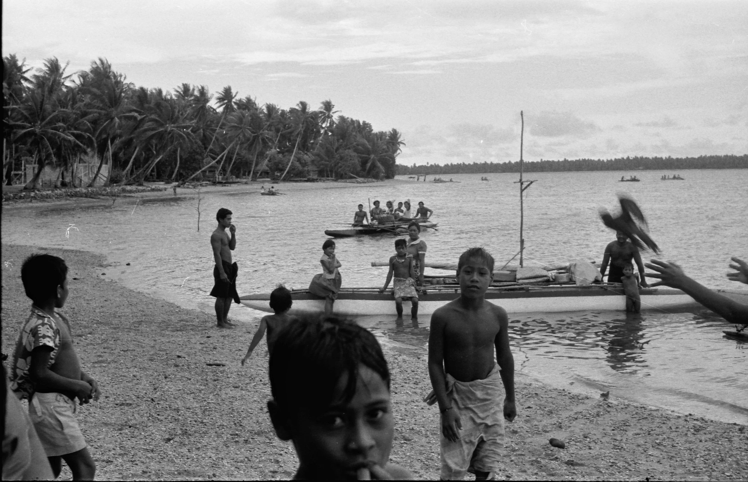 Beach scene with captive bird NEA about 1 Sept 1973.jpg