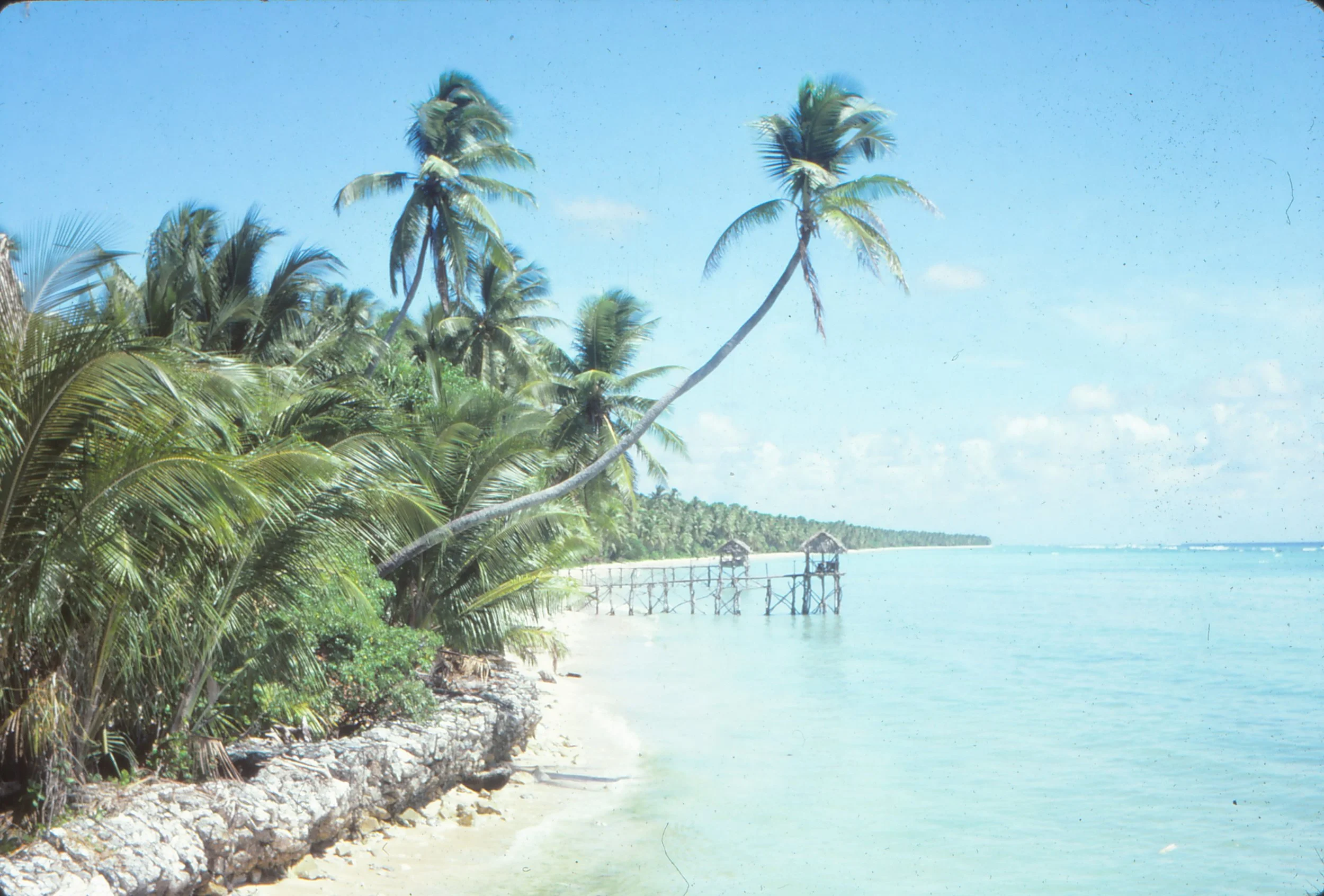 1984 - which island is this.jpg