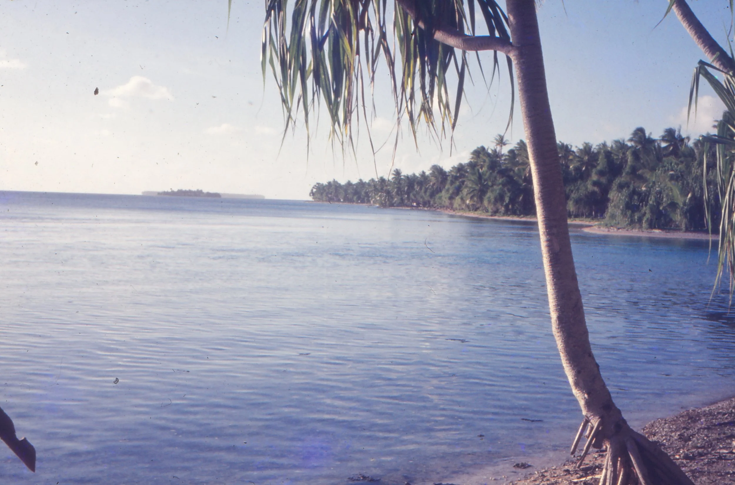 Looking west from Matagi near Mea Puu - 1973.jpg