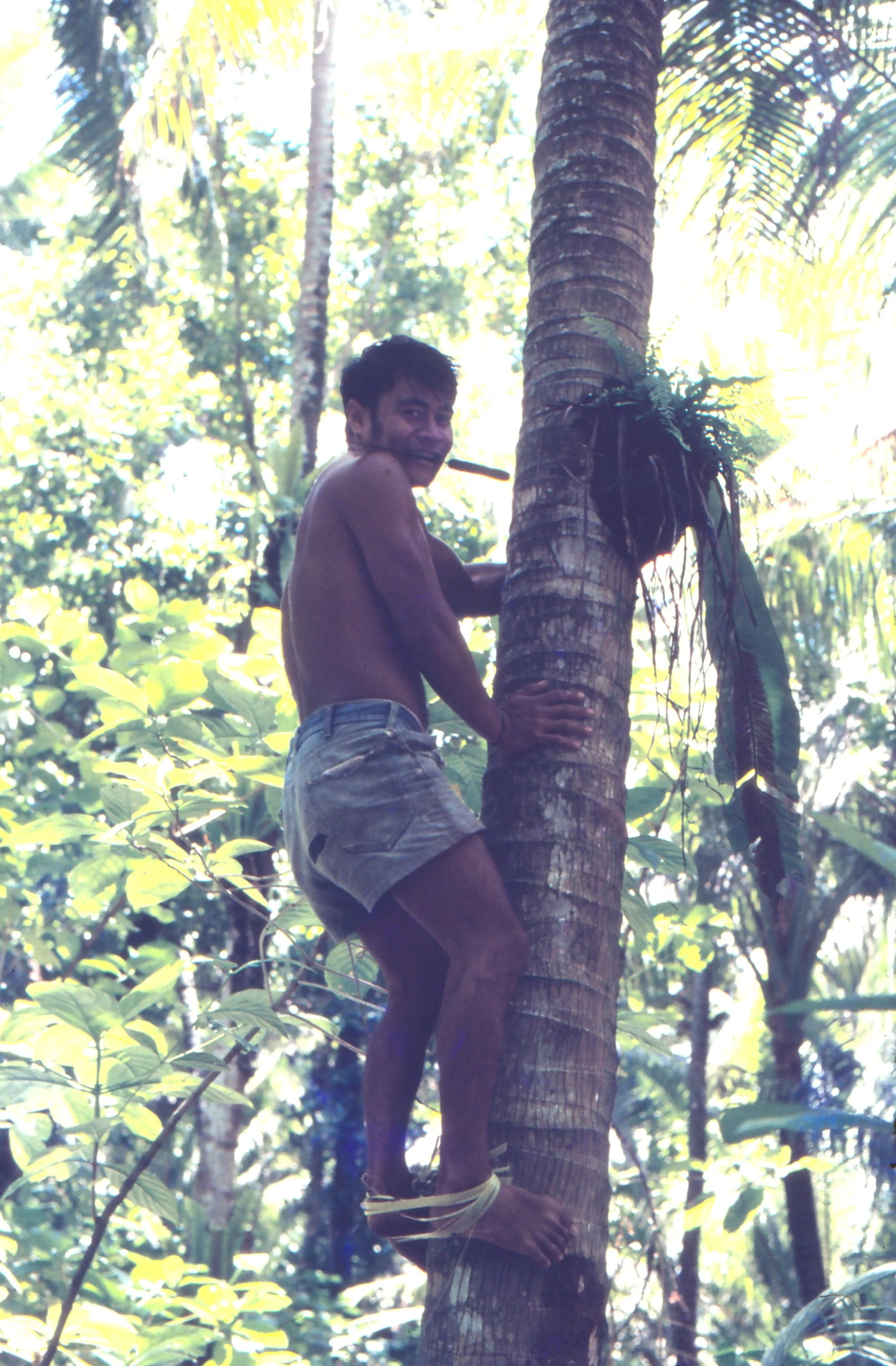 Laina mo tana kaafaga