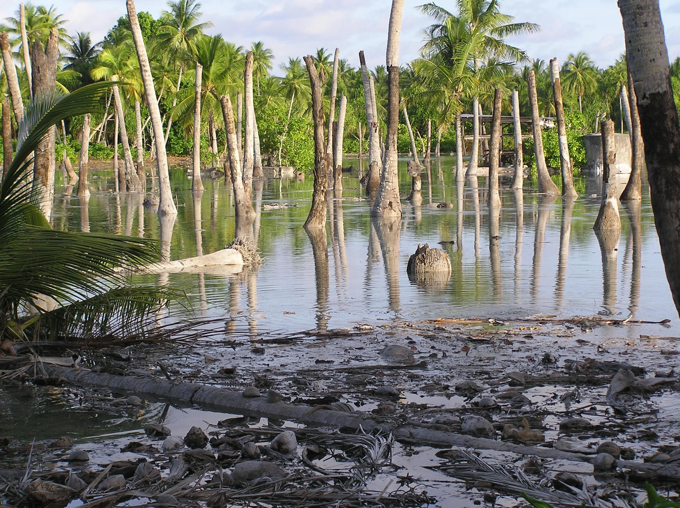 Album 10 -  2003-04 Tuvalu trip 092.jpg