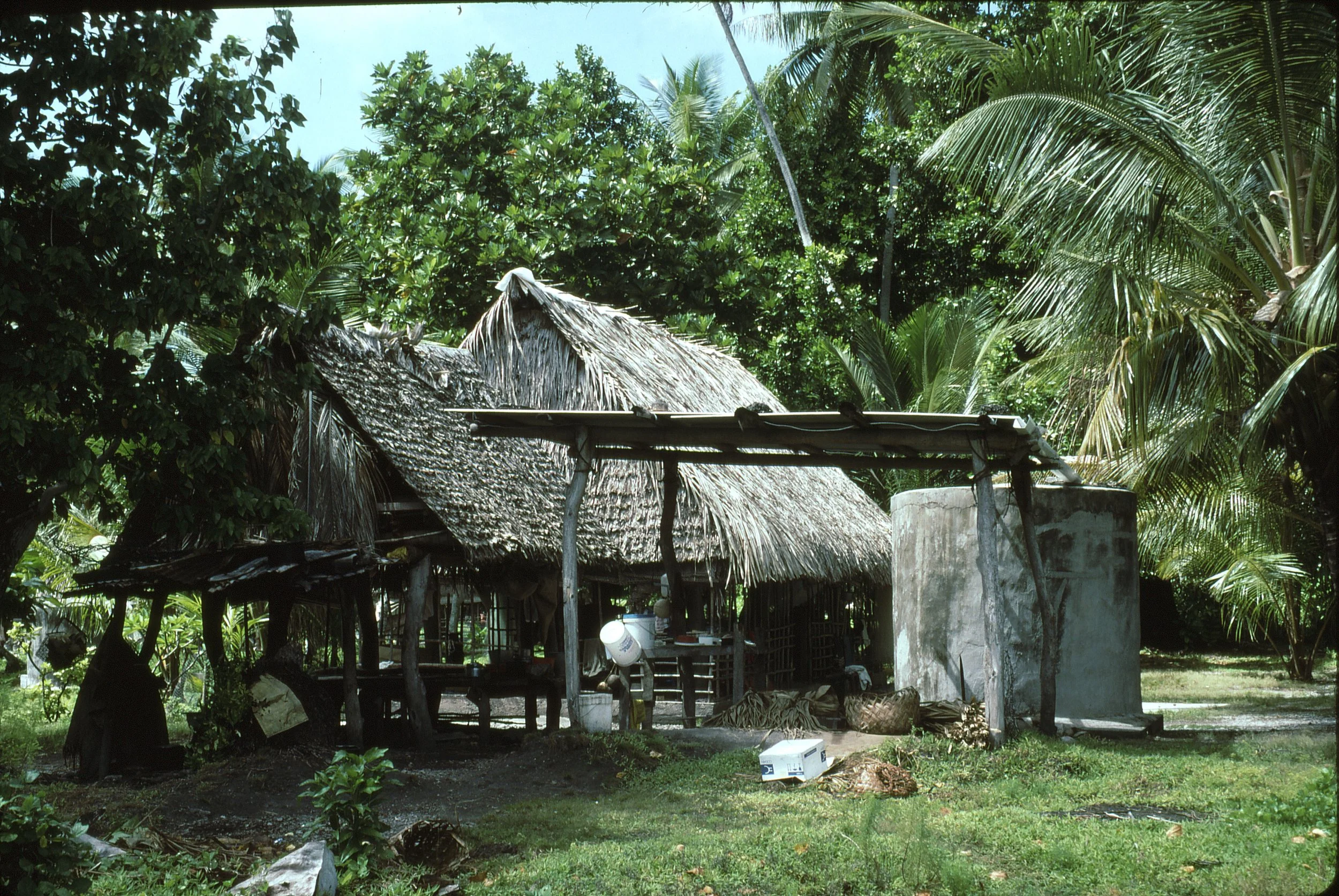 A traditional thatched house and outbuildings with water catchment tank, surrounded by lush green tropical trees and plants.