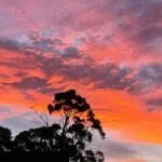 The Astrology Monthly: The Dance of the Lights