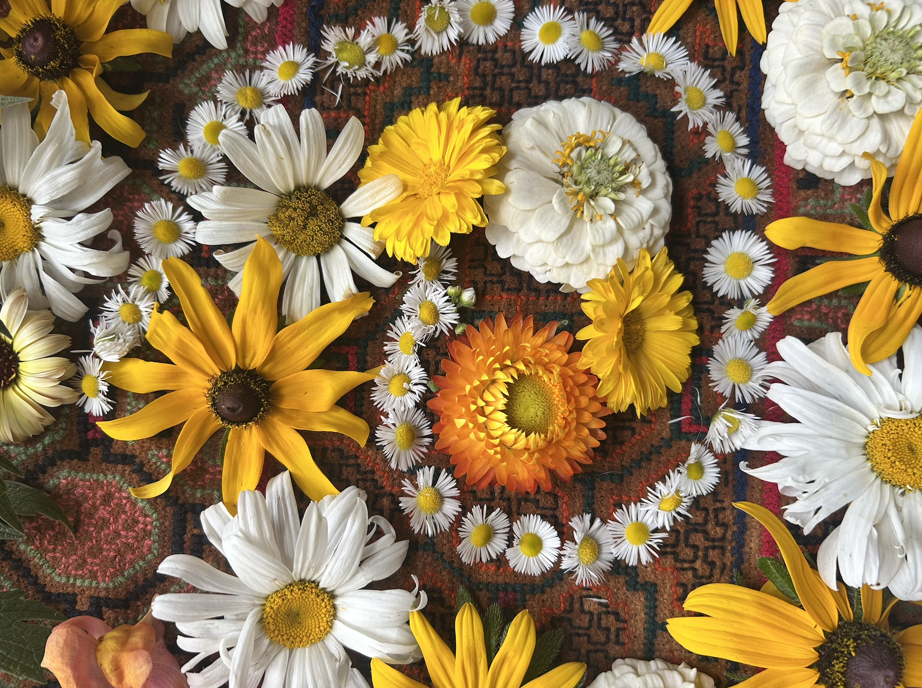 Cervix Sunday: Bringing To Light - Perimenopause with Hannah Wolf Pfeil 