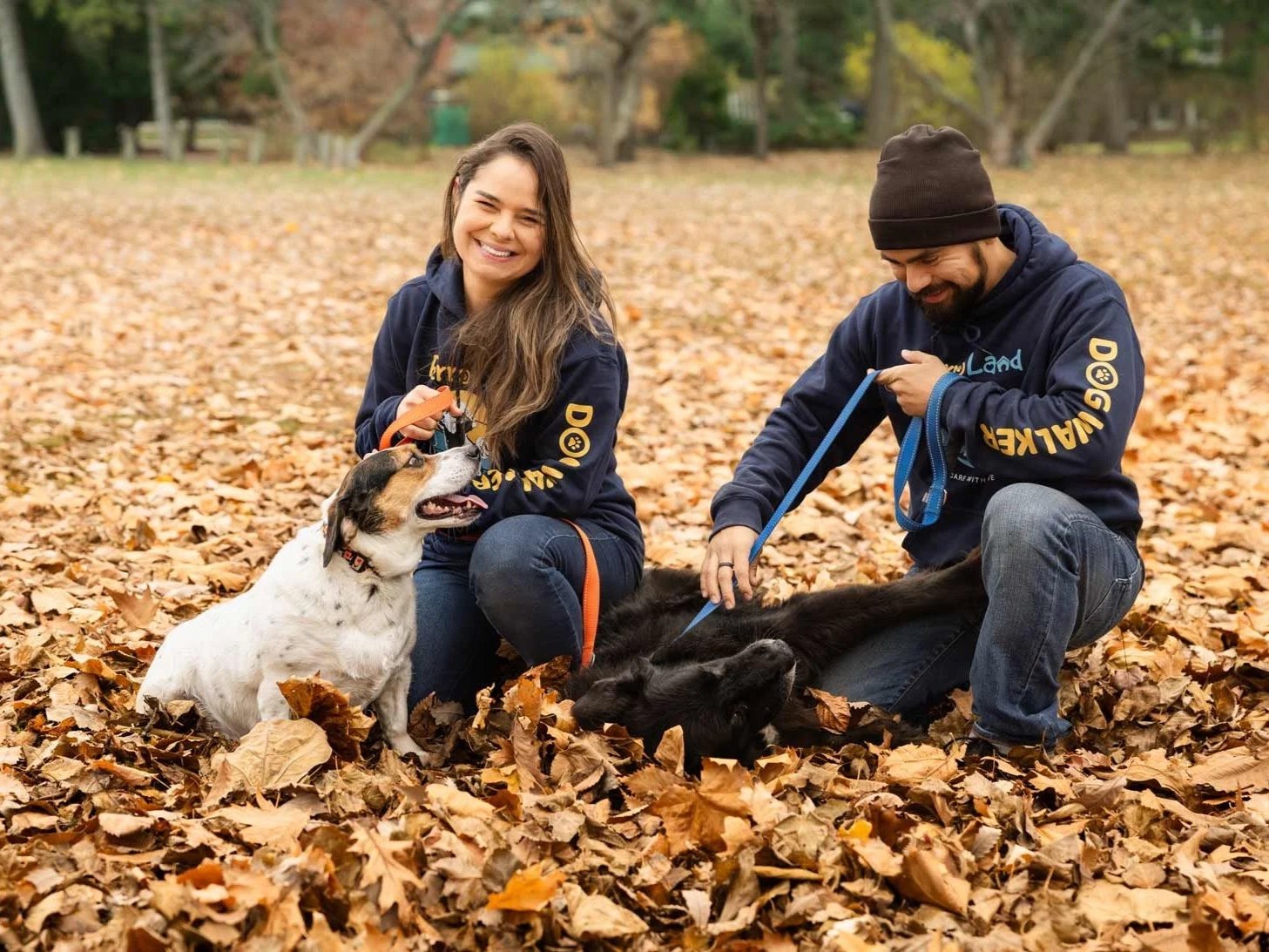 dog walkers with dogs