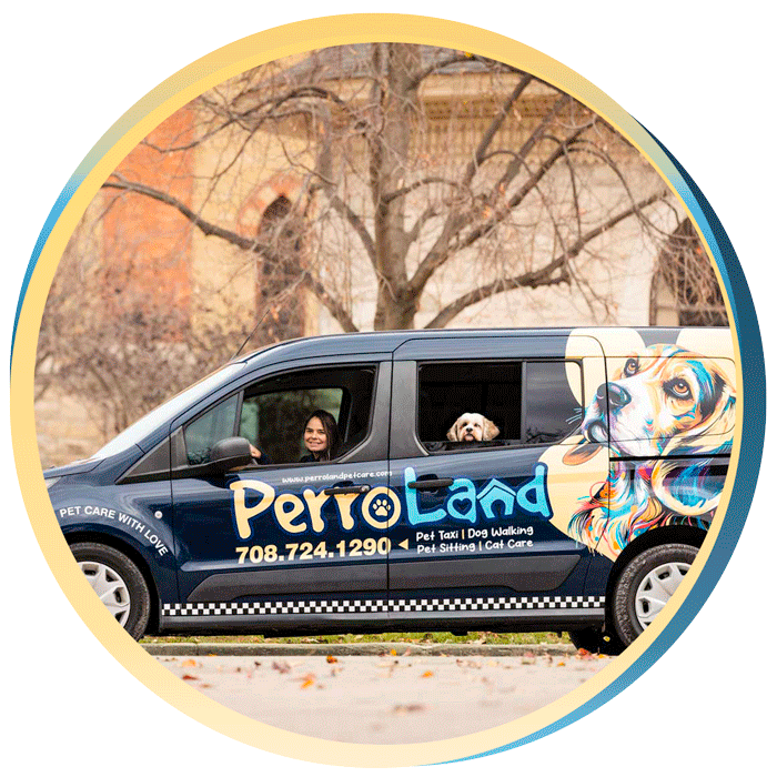 Pick-up and Drop-off Service