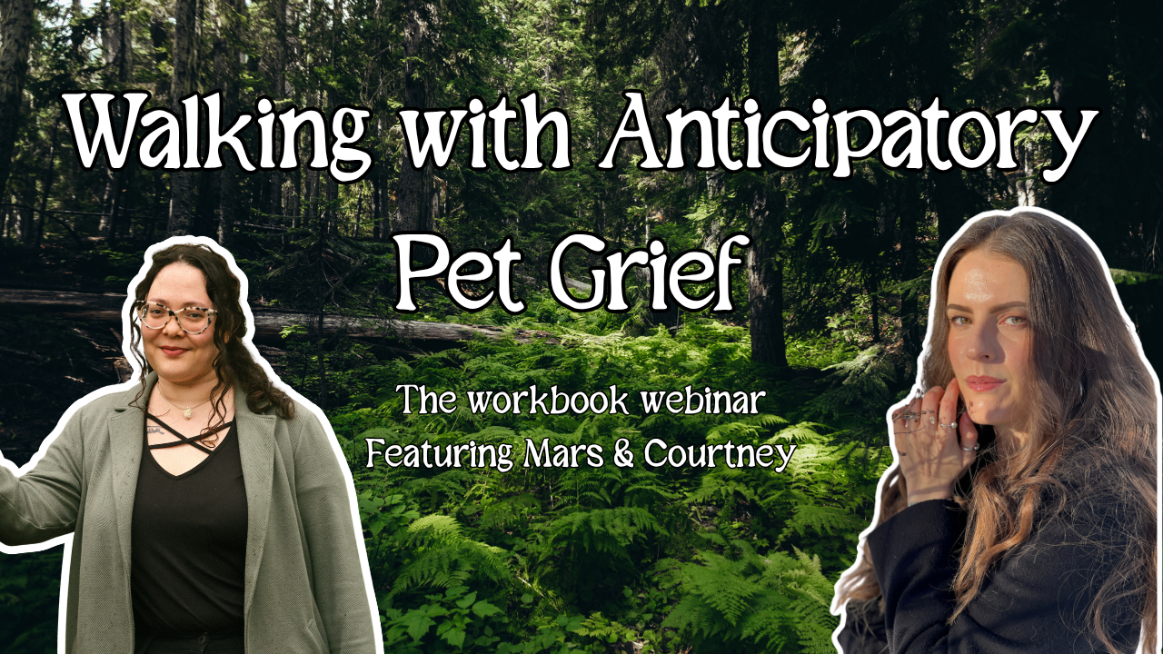 Walking with Anticipatory Grief Workshop