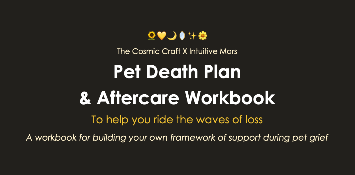 Pet Death Plan and Aftercare Workbook