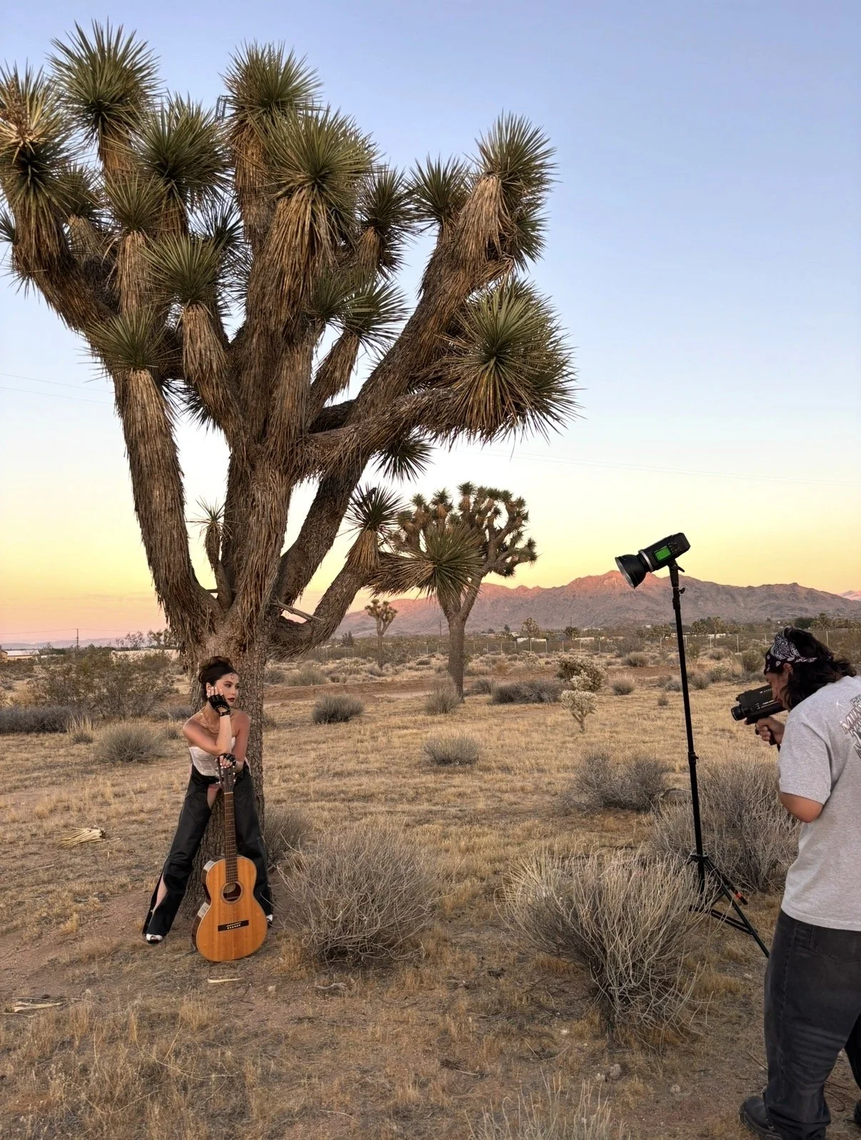 A photoshoot in a desert of a woman leaning on a guitar. She is standing in front of a tree and is wearing black fingerless gloves.