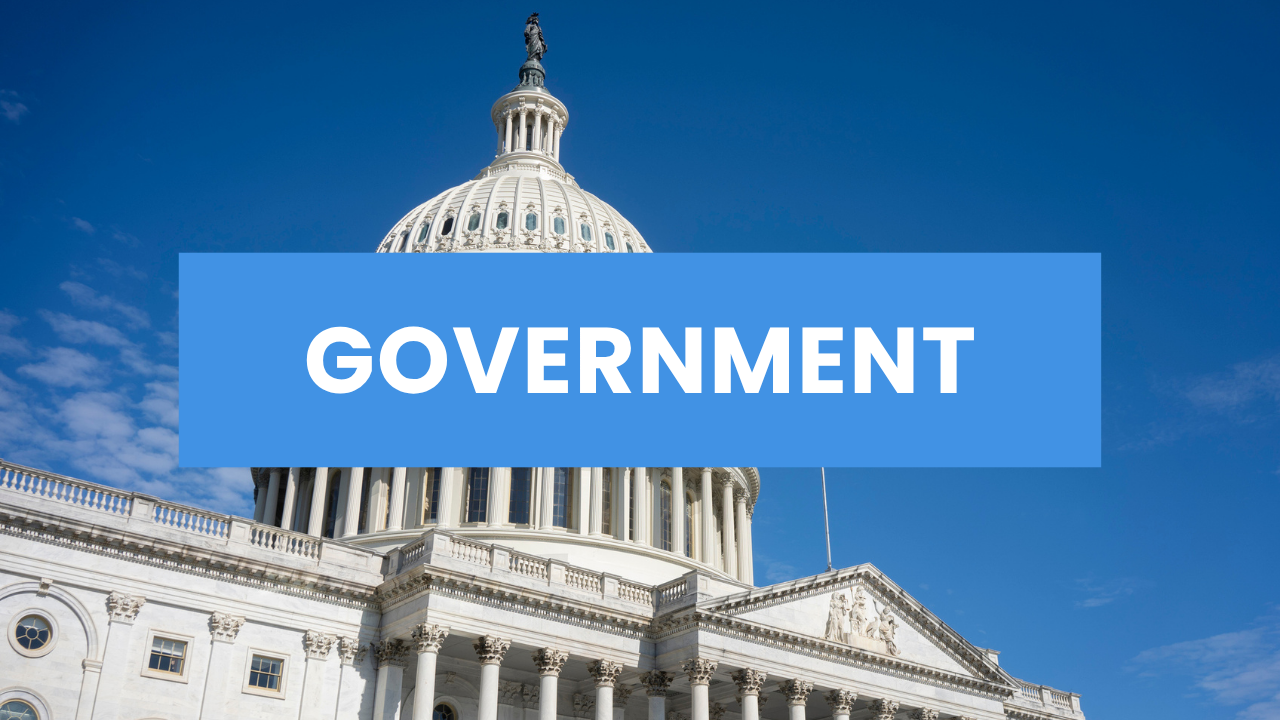 Government