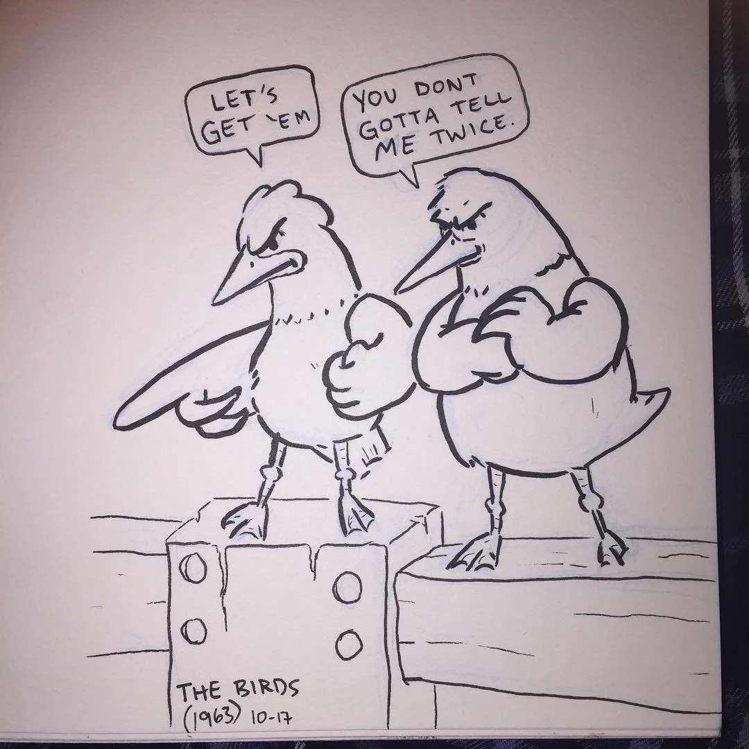 birds.jpg