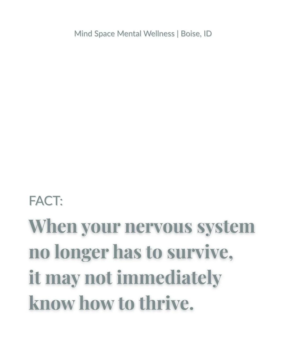 There is often a quiet middle space after long periods of coping.
The urgency fades, but clarity has not arrived yet.

This phase is frequently misunderstood.
It can feel uncomfortable, dull, or disorienting.
Not because something is wrong, more so b