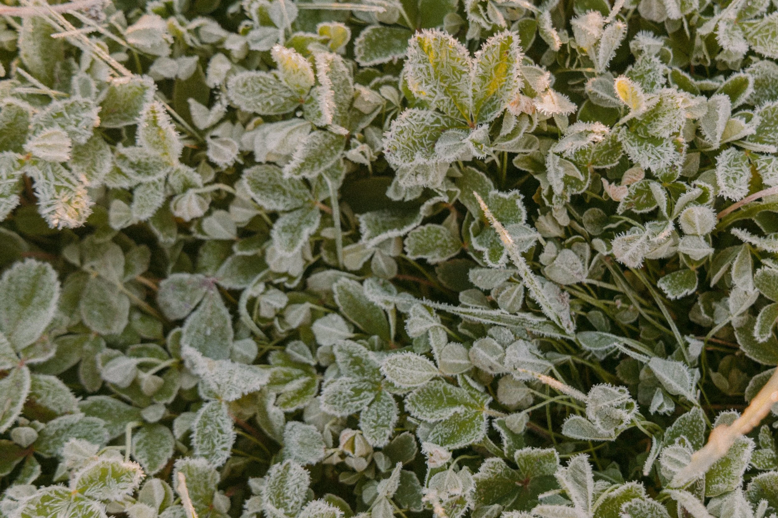 Why Some Things Don’t Shift on Their Own