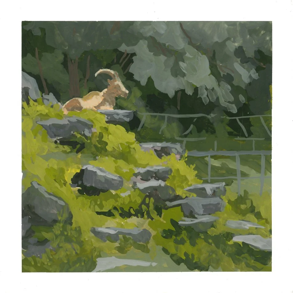 High Park Zoo
06-22-2024, 10"x10" Framed