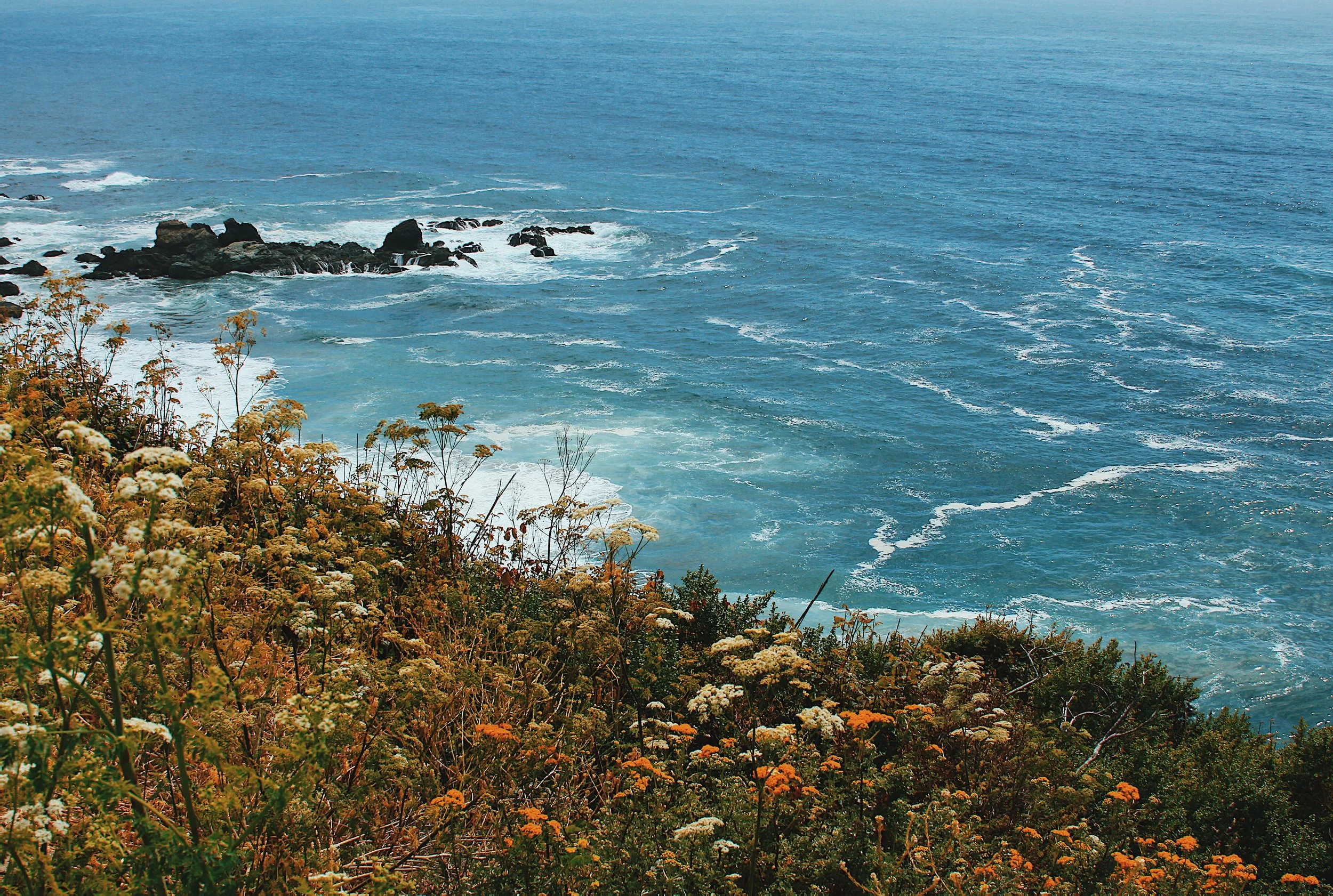 FullSizeRender (1).jpg