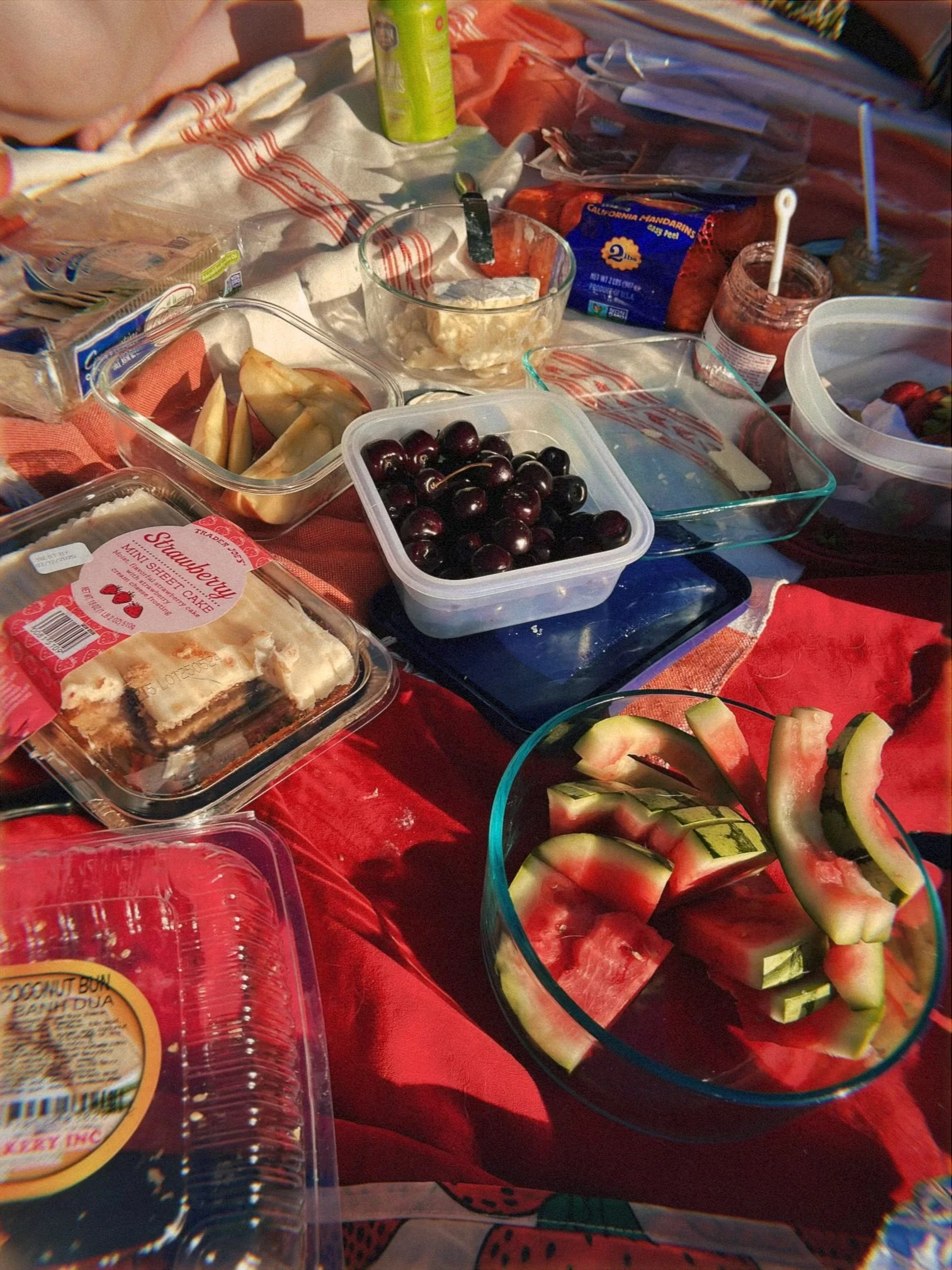 A picnic spread at a party Heather attended: a variety of fresh fruits and snacks spread out on a red picnic blanket, including cherries, watermelon slices, and some packaged baked goods.