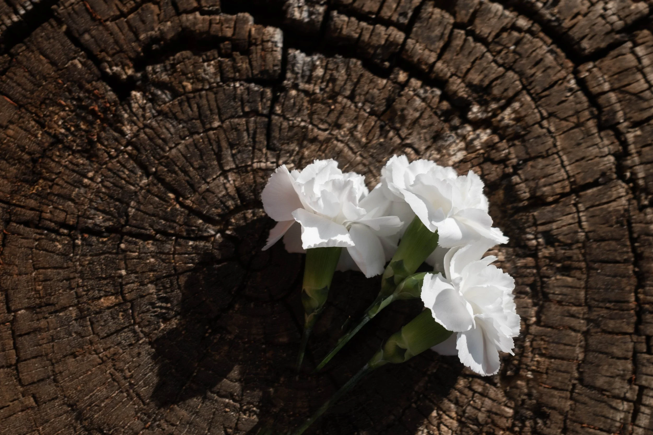 The Practice of Noticing