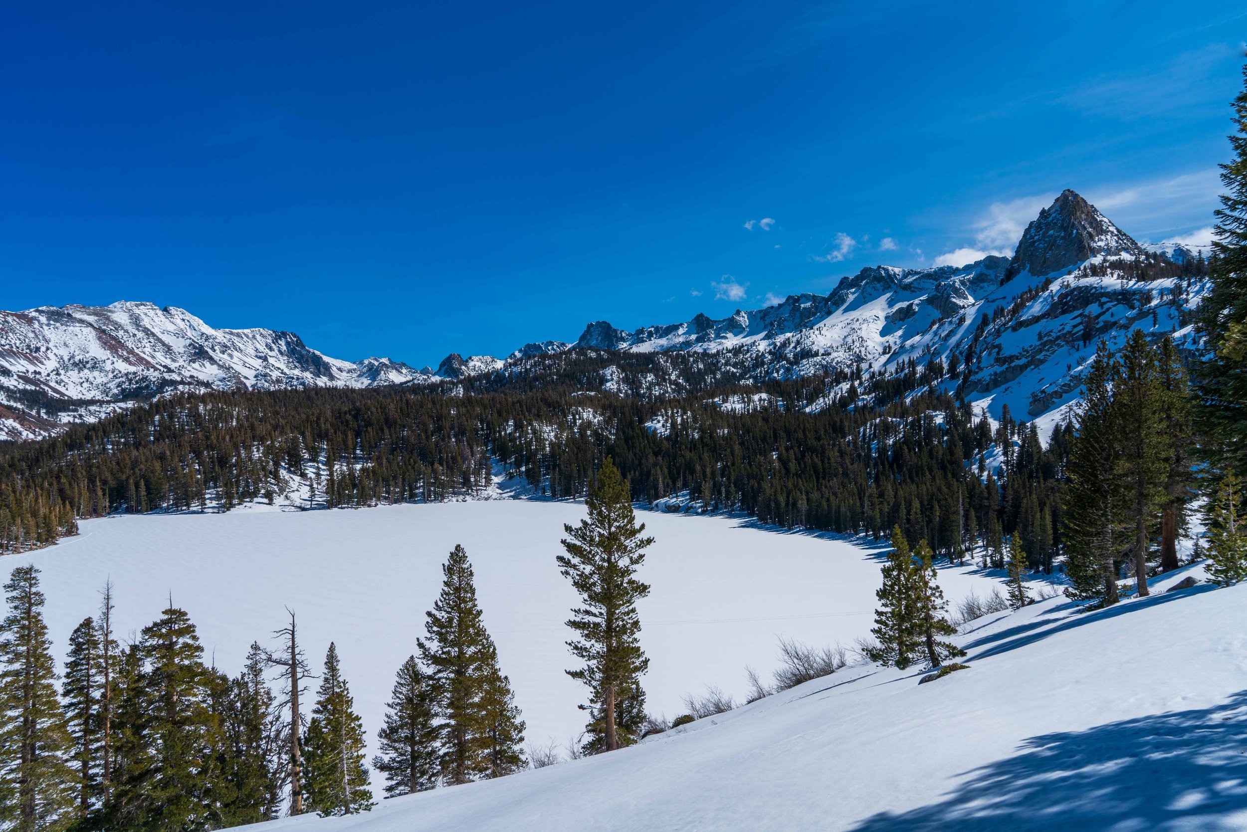 _DSC0274-1.jpg