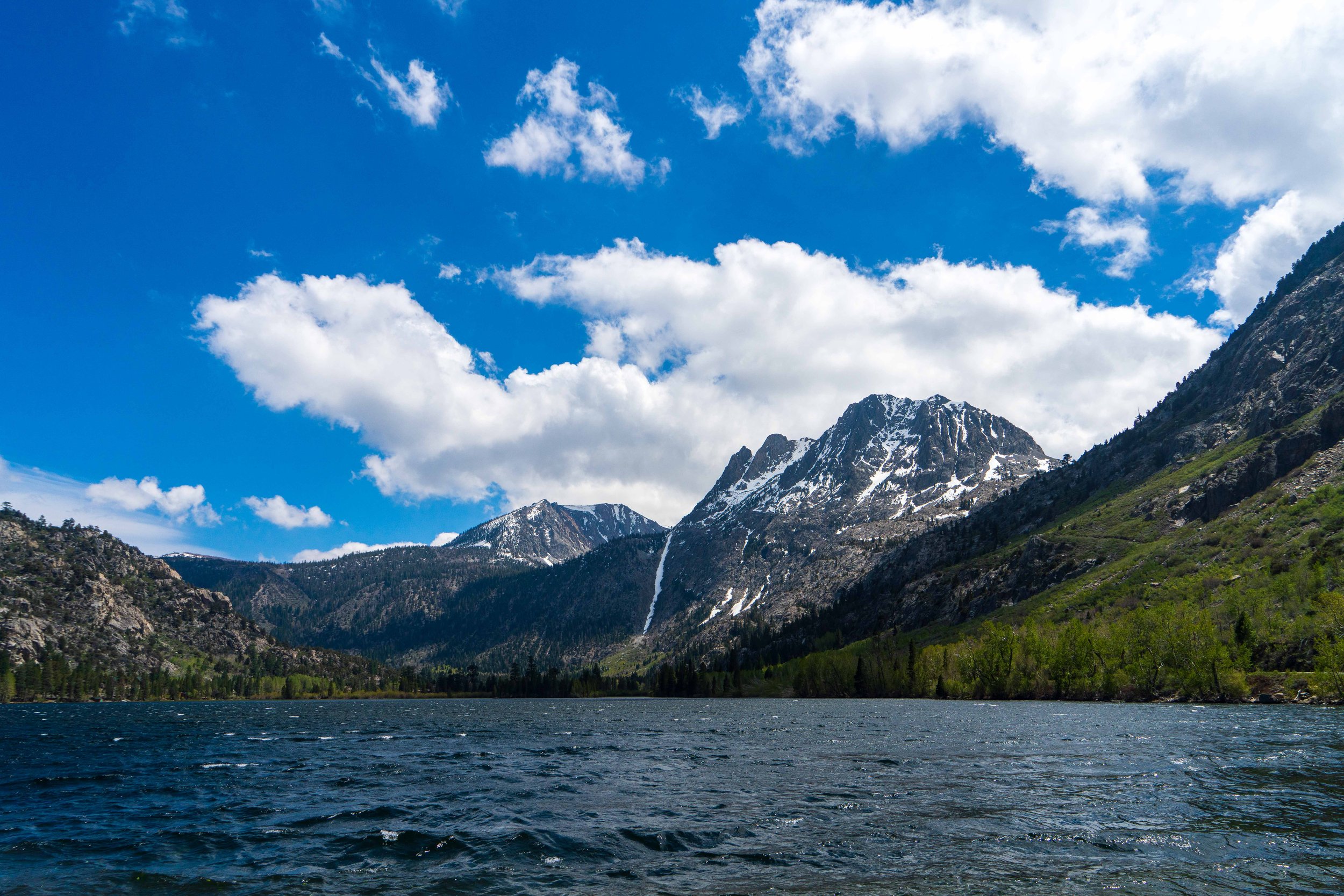 _DSC1384-1.jpg