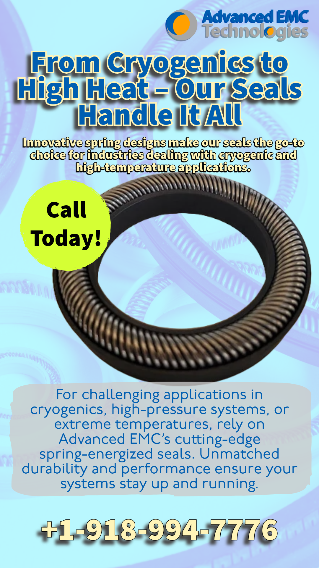 Spring Energized Seal Ads-5.png