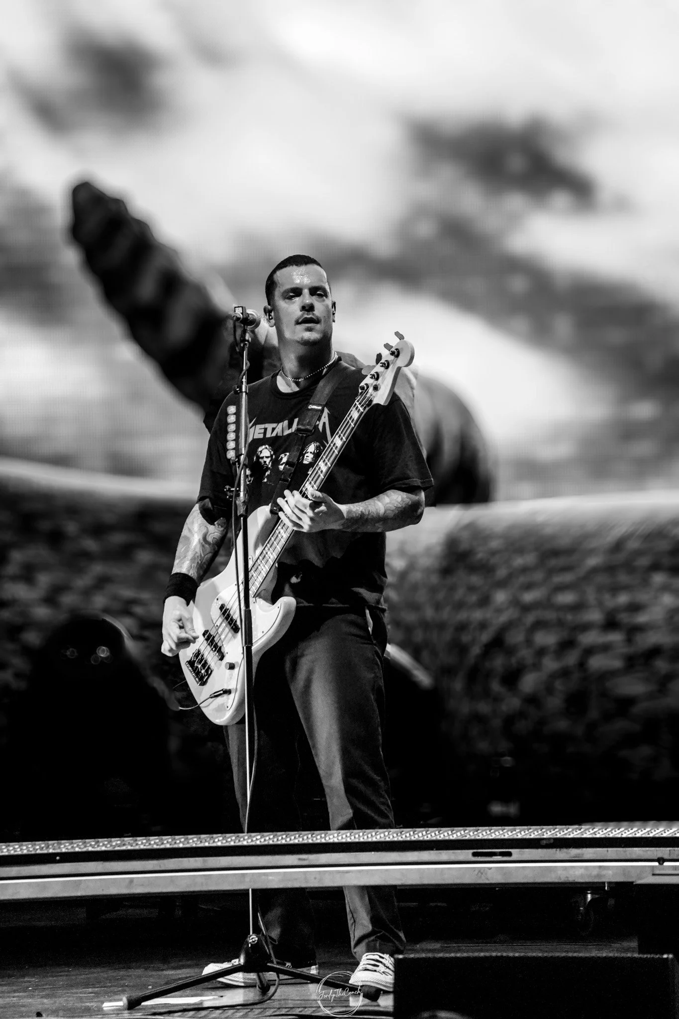 Beartooth SOL-80.jpg