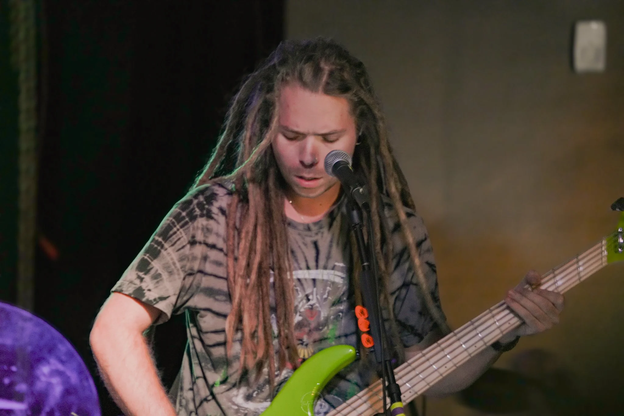 Stray 04-20-126.jpg