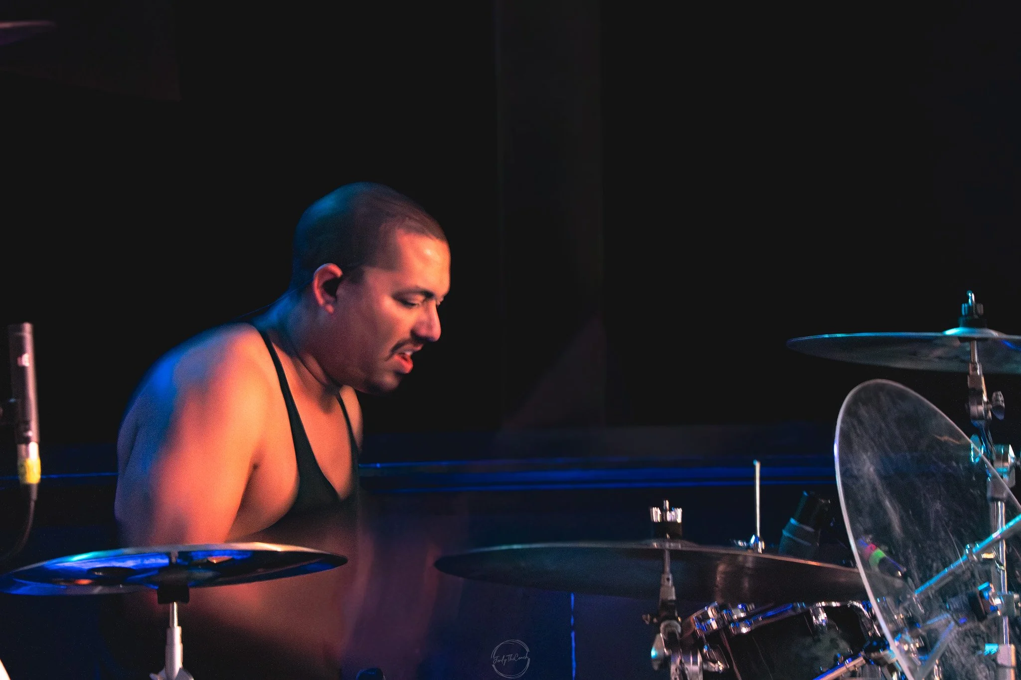 Stray 04-20-21.jpg