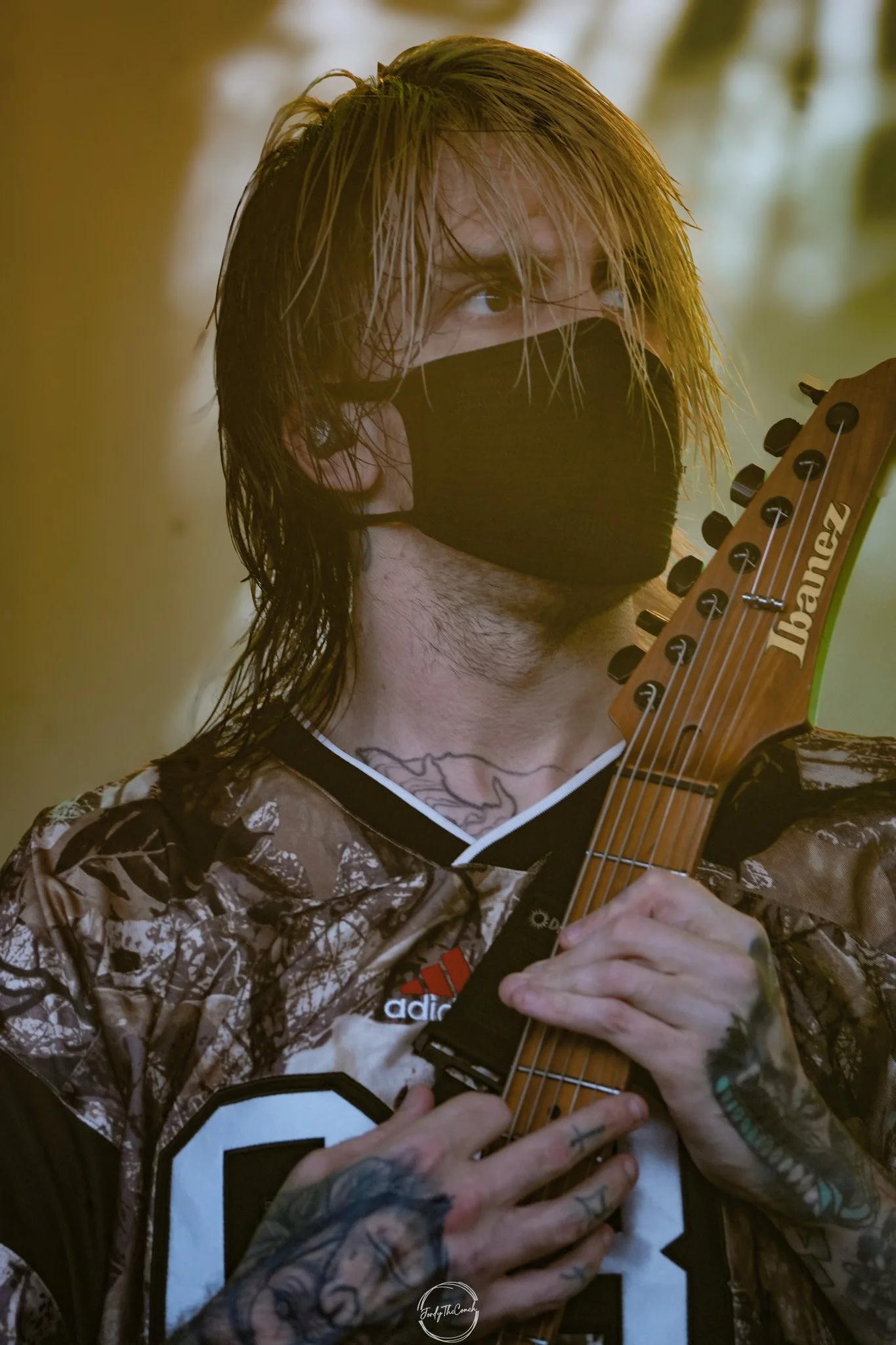 Alphawolf SOL-13.jpg