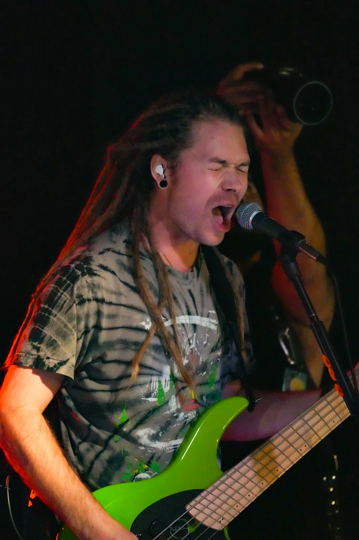 Stray 04-20-69.jpg