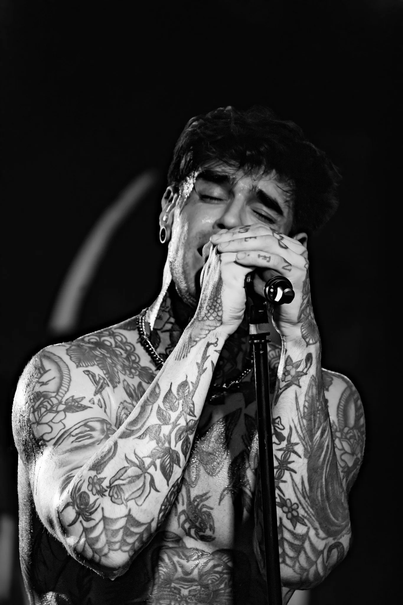 Melrose 04-20-177.jpg