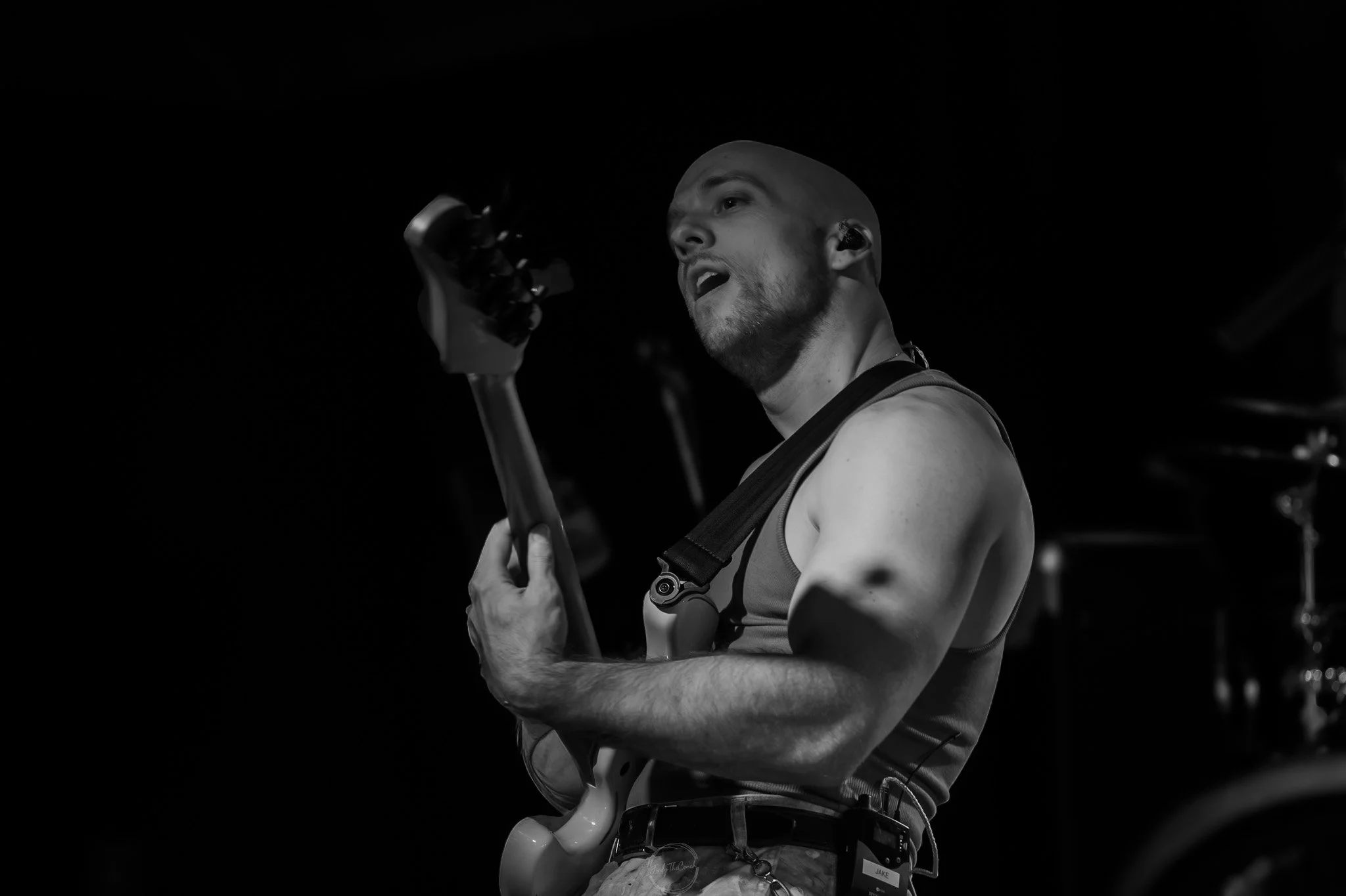 Stray 04-20-80.jpg