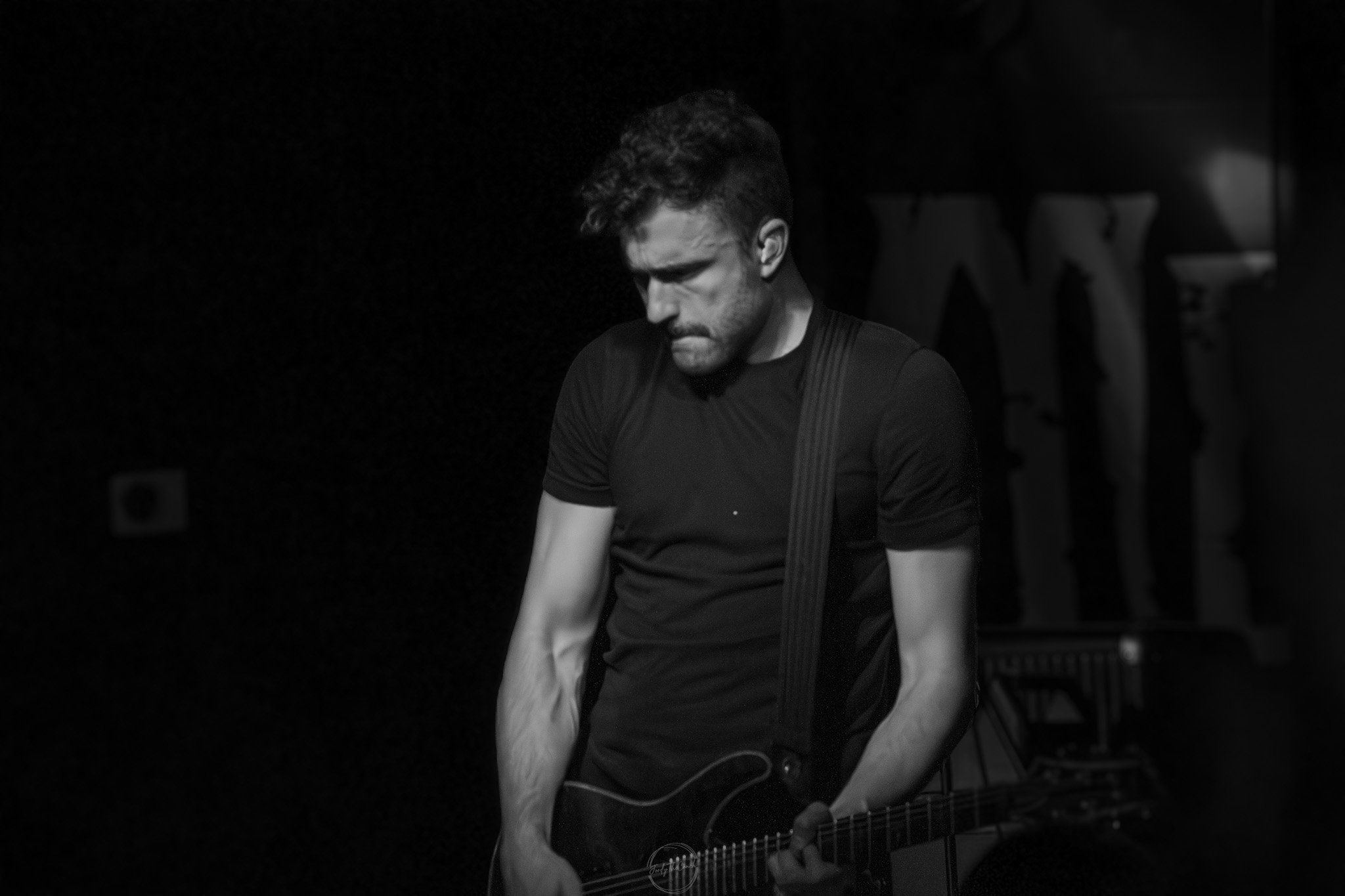 Stray 04-20-28.jpg