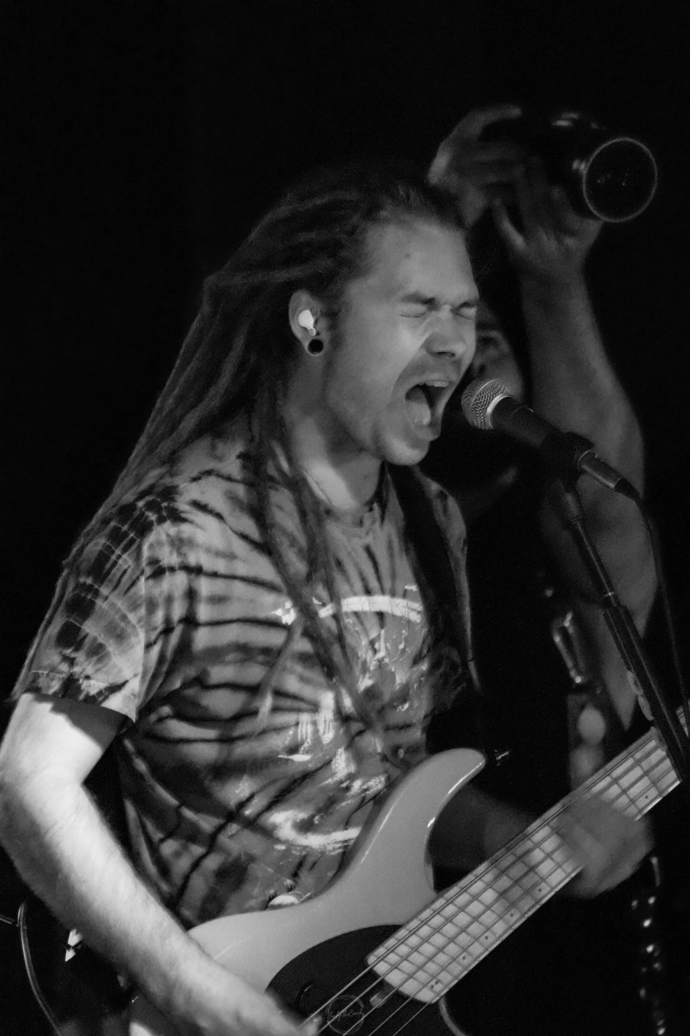 Stray 04-20-70.jpg