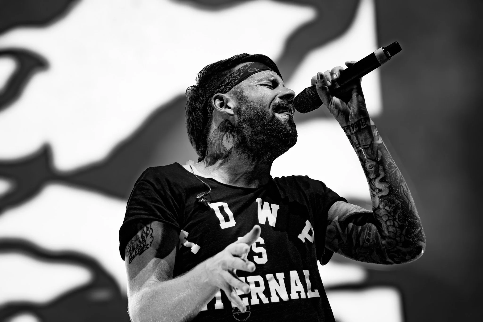 Beartooth SOL-579.jpg