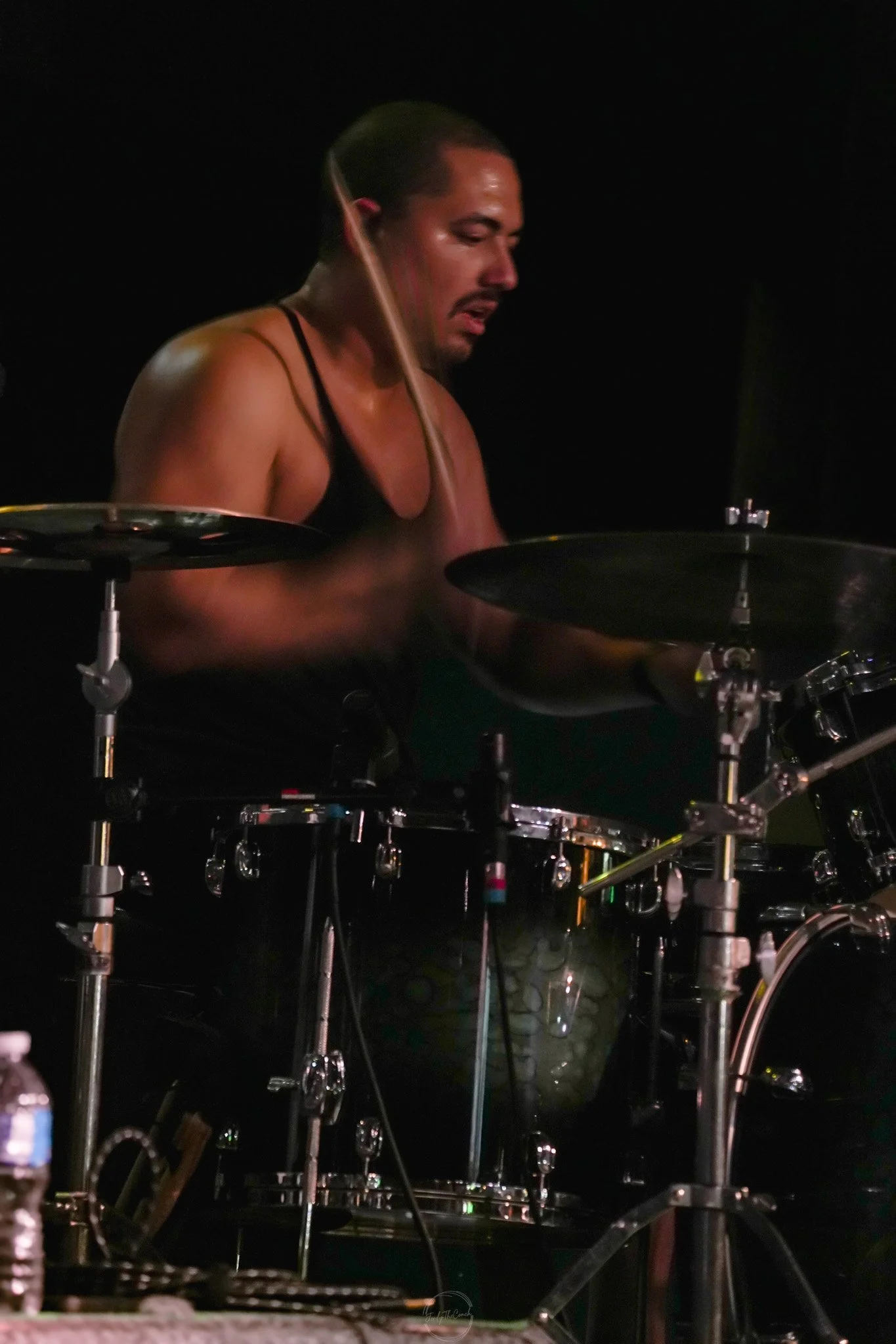 Stray 04-20-112.jpg