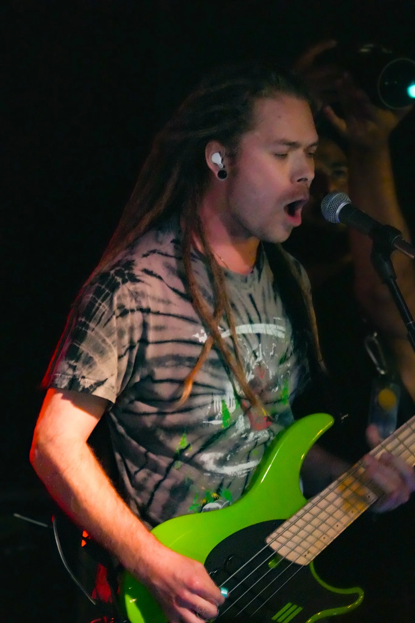 Stray 04-20-71.jpg